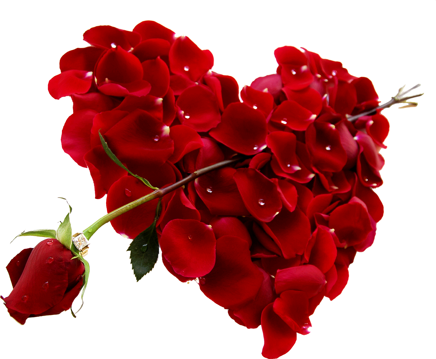 Слушать песню купить тебе букет. Цветочки для любимой. Красный цветок. Розы сердечком. С днем влюбленных.