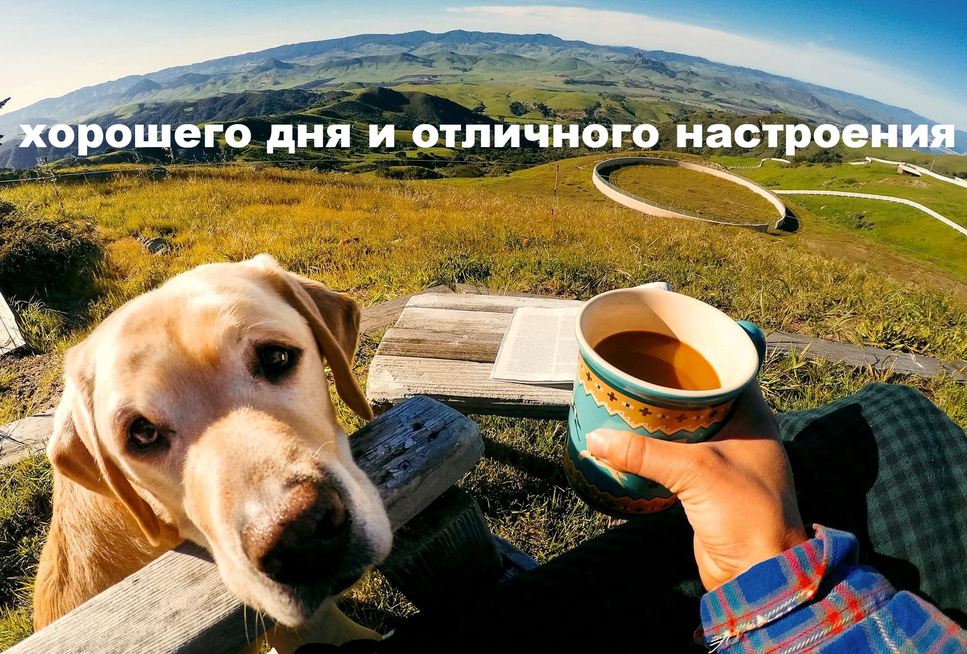 Терпеливо выжидая. Утро с кофе путешествие. Доброе утро горы. Путешествие с собакой. Доброе утро путешественники.
