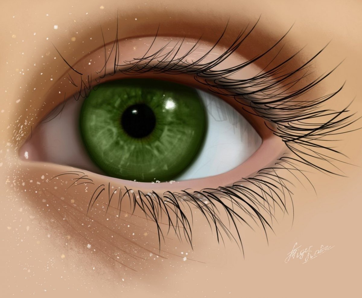 Темно зеленый цвет глаз