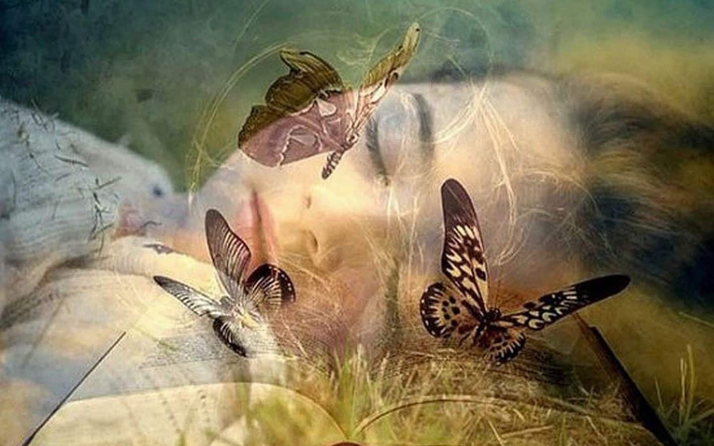Тихо бабочки летают. Бабочки любовь. Картина бабочки. Бабочки фэнтези. Бабочка арт.