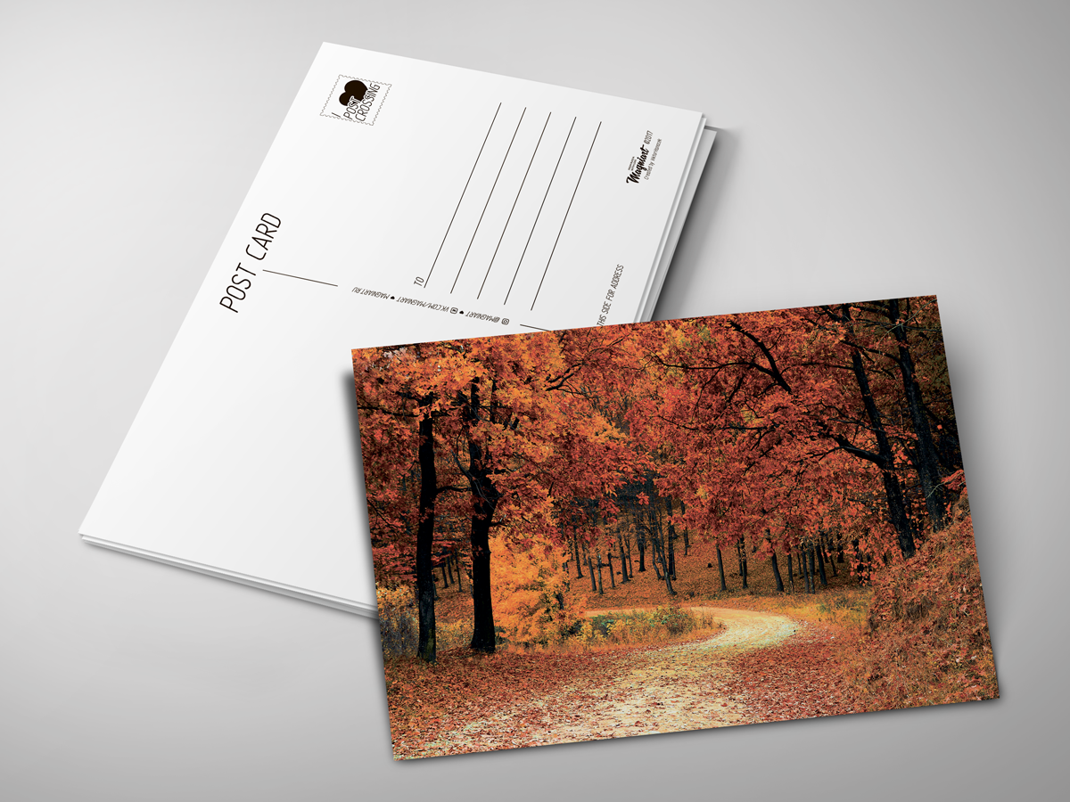 Почтовая открытка. Дизайнерские почтовые открытки. Открытки почтовые современные. Необычные почтовые открытки. Picture postcard