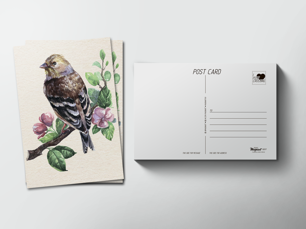 Почтовая открытка. Дизайнерские почтовые открытки. Необычные почтовые открытки. Открытки почтовые современные.