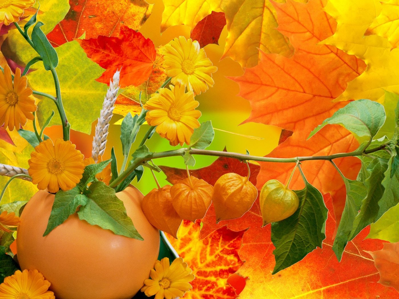 Осенняя открытка с цветами и тыквой