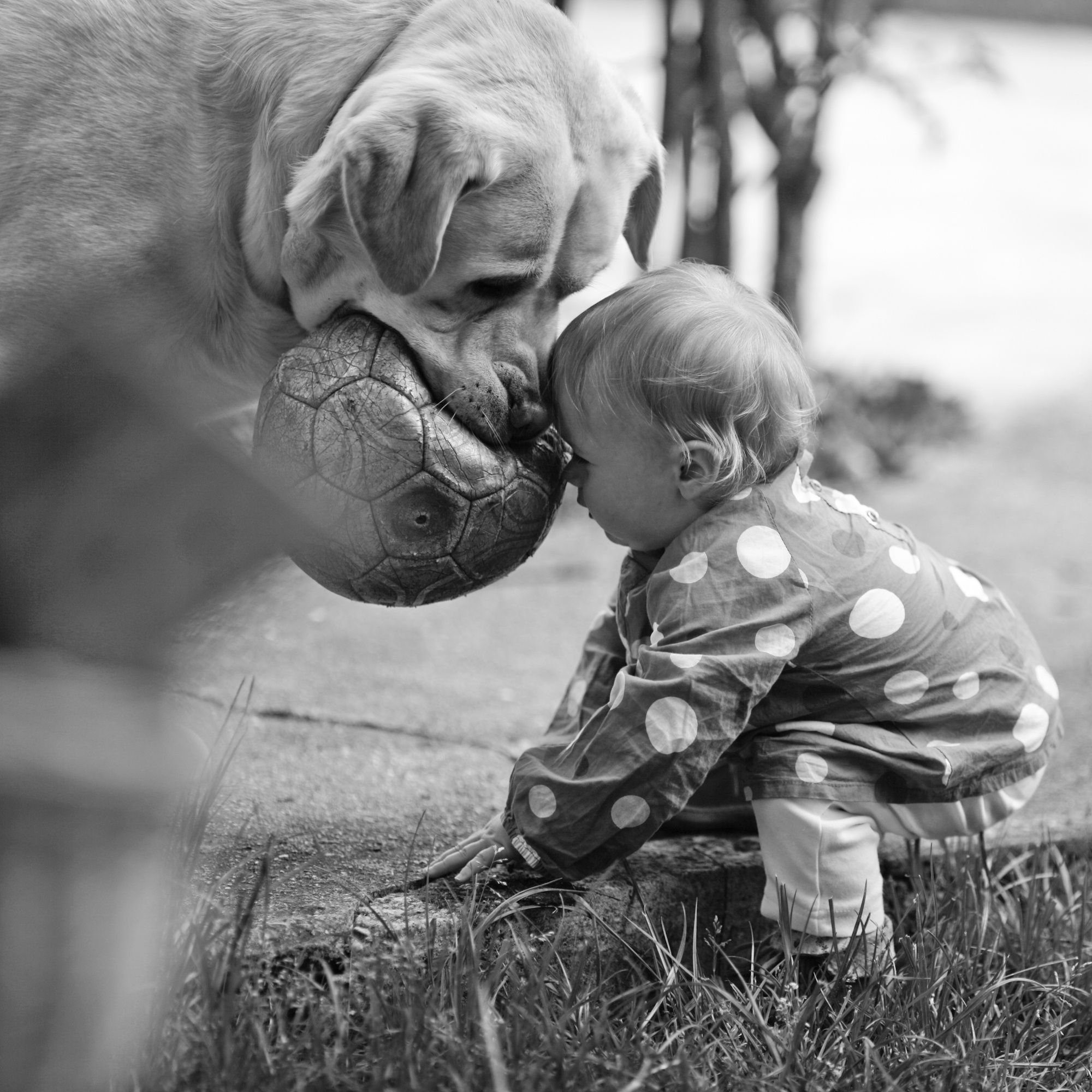 Самый душераздирающий. Трогательные животные. Собака для детей. Для детей. Животные. Трогательный ребенок.