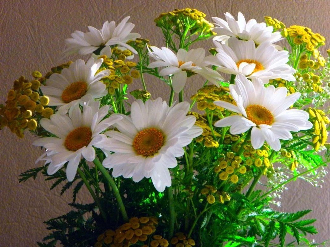 Букеты цветов с пожеланиями доброго