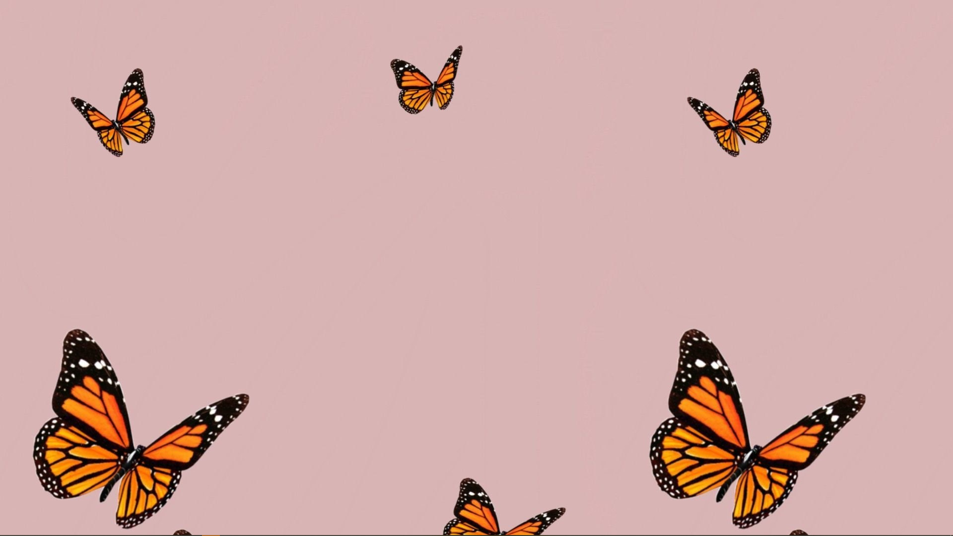 Обои с бабочками. Фон бабочки. Заставка бабочки. Заставка на телефон бабочки. Инди обои на телефон