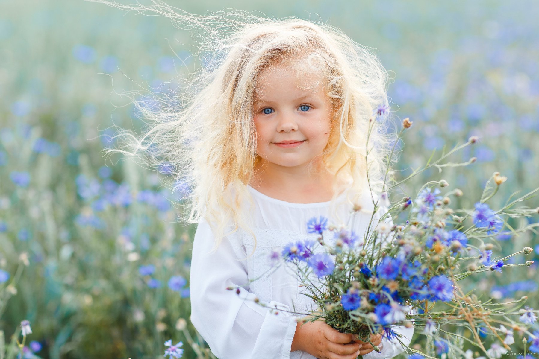 Светлые добрые песни. Цветы для детей. Девочка с цветами. Девочка в поле. Девочка с васильками.