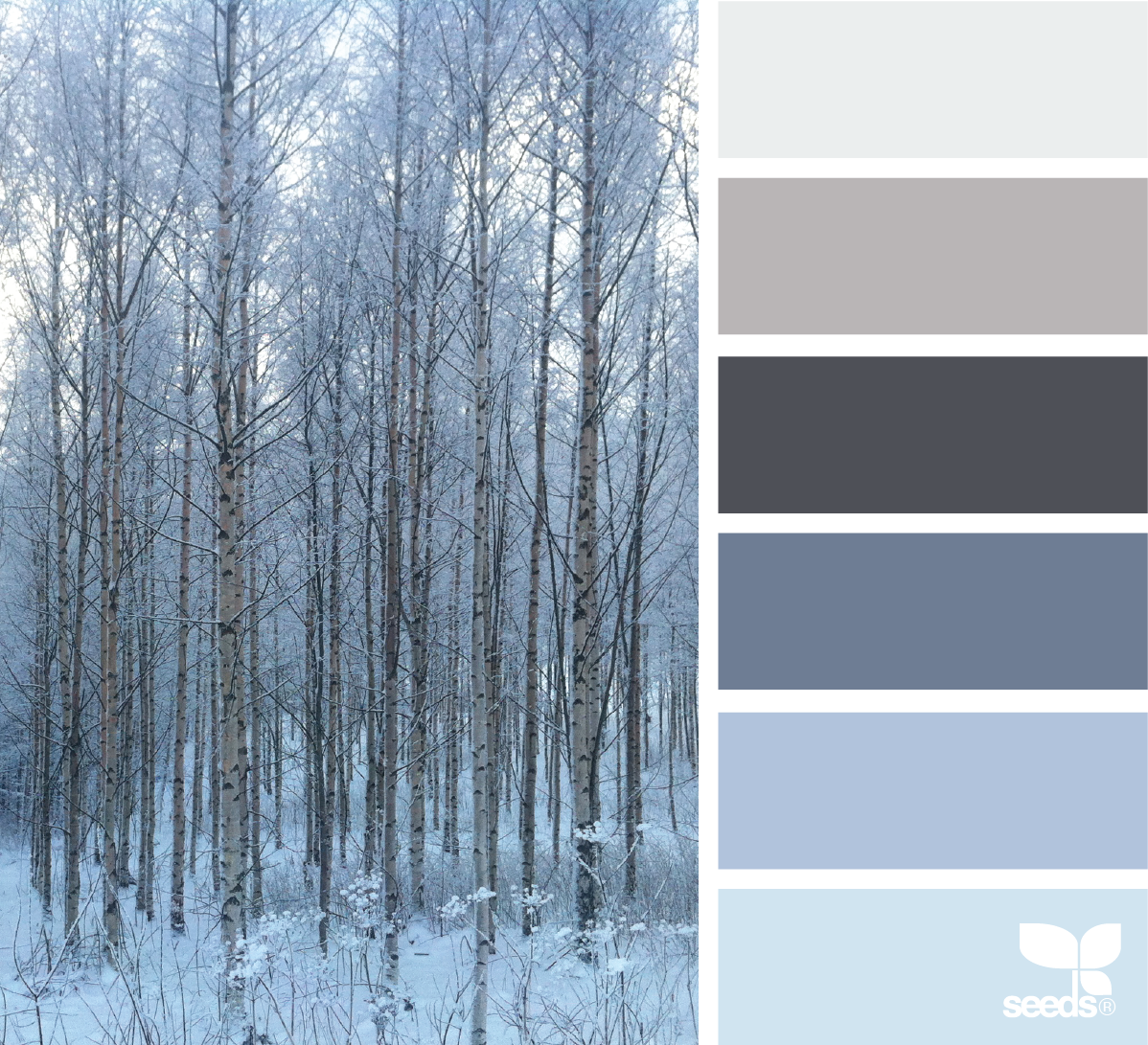 Теплый серый и холодный серый. Зимние цвета. Цветовая палитра зима. Серо голубая гамма цветов. Палитра холодных тонов.