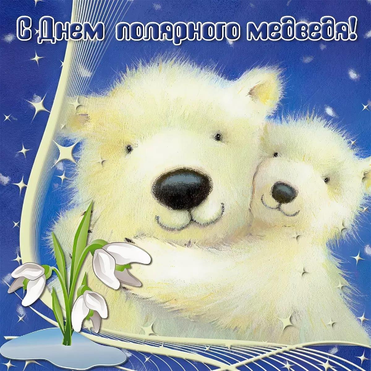 Заказать поздравление белым мишкой. Alison Edgson иллюстрации. День белого медведя. День полярного медведя. День белого полярного медведя.