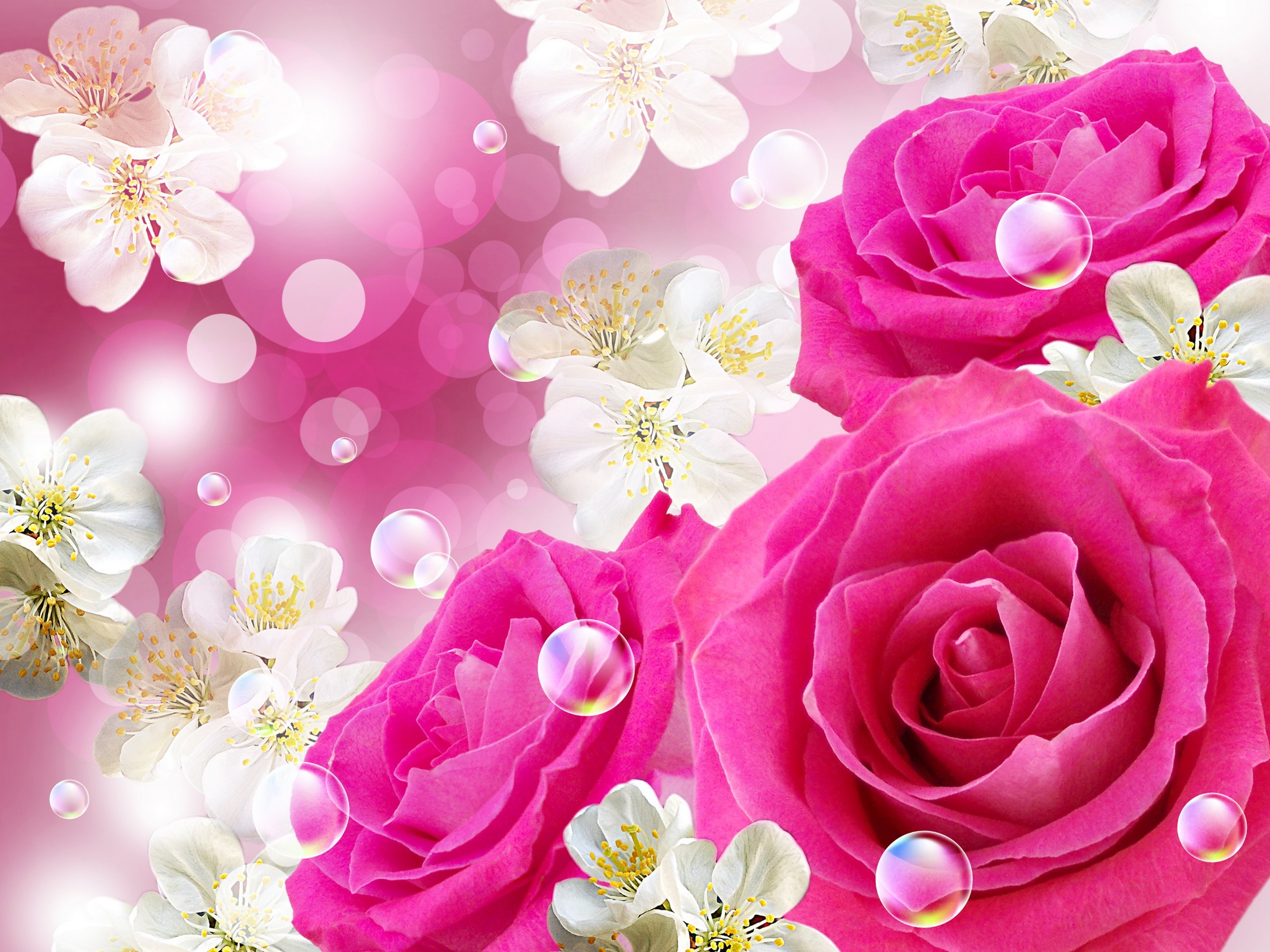 Розовая открытка с днем рождения. Цветочный фон. Красивый фон цветы. Открытка цветы.