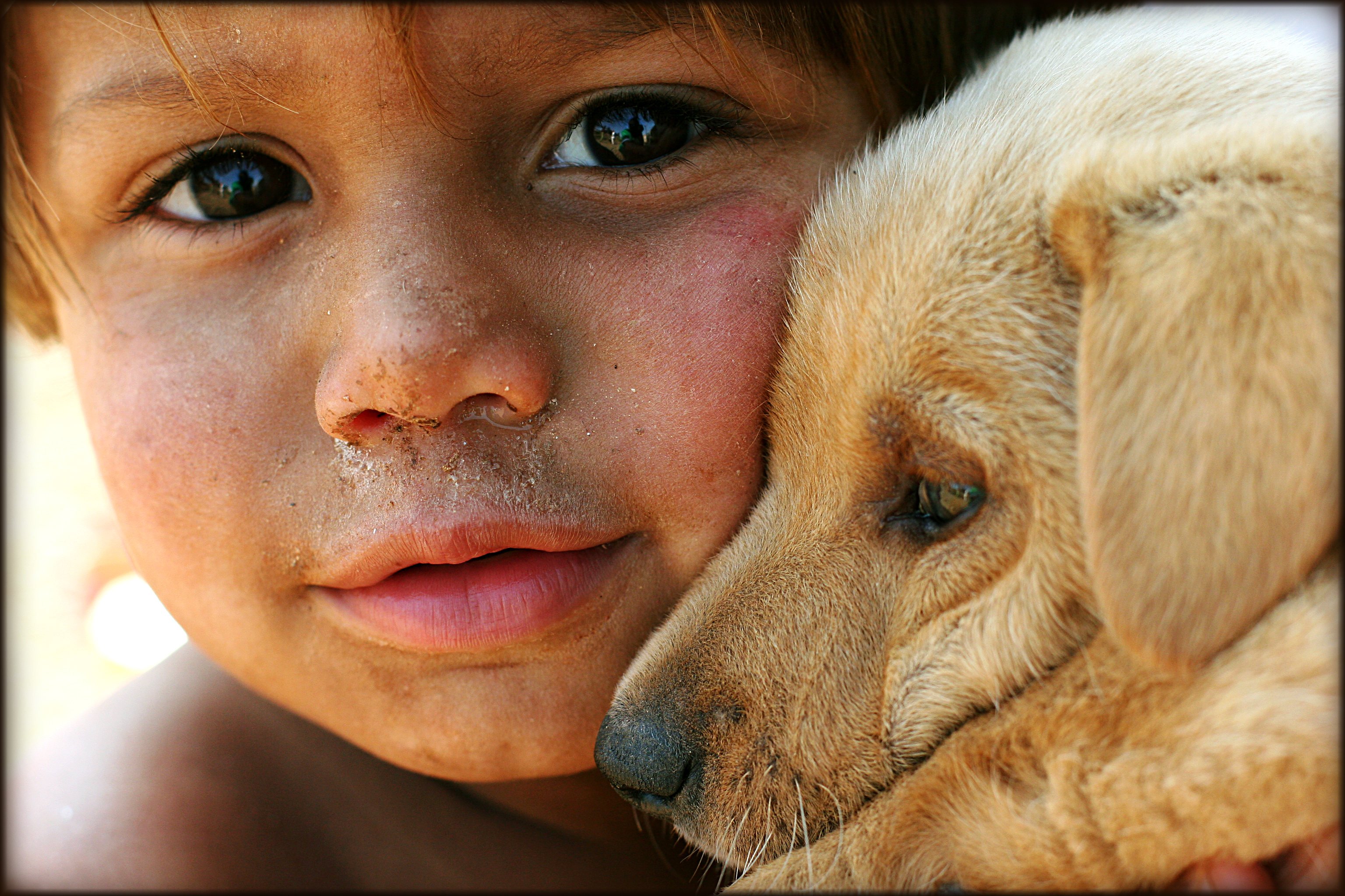 Добрые животные в мире. Люди и животные. Любовь детей к животным. Доброта животных. Человеческая доброта.