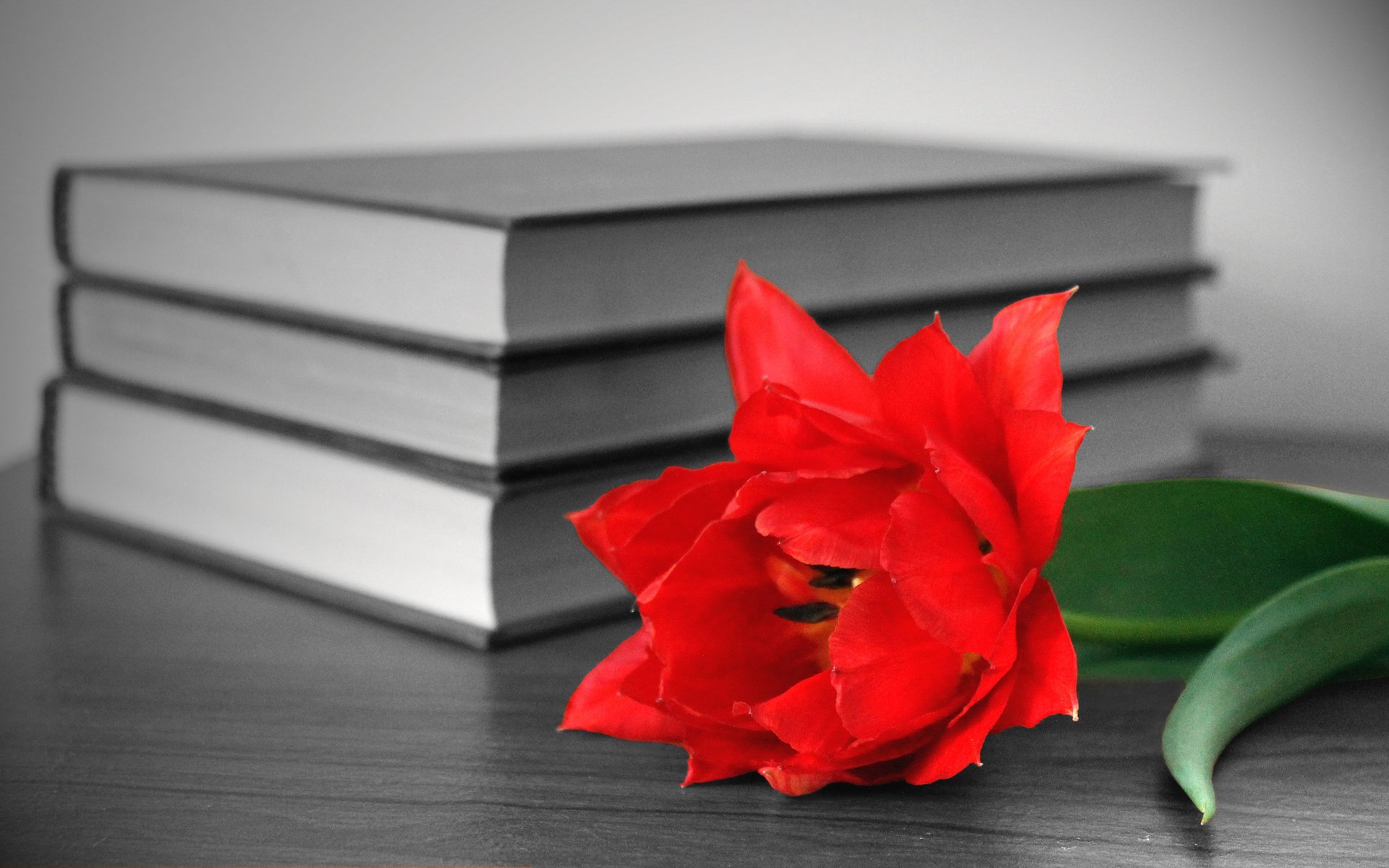 Красная книга открытки. Книга цветы. Цветы на столе. Открытка книга. Цветы в книжке.