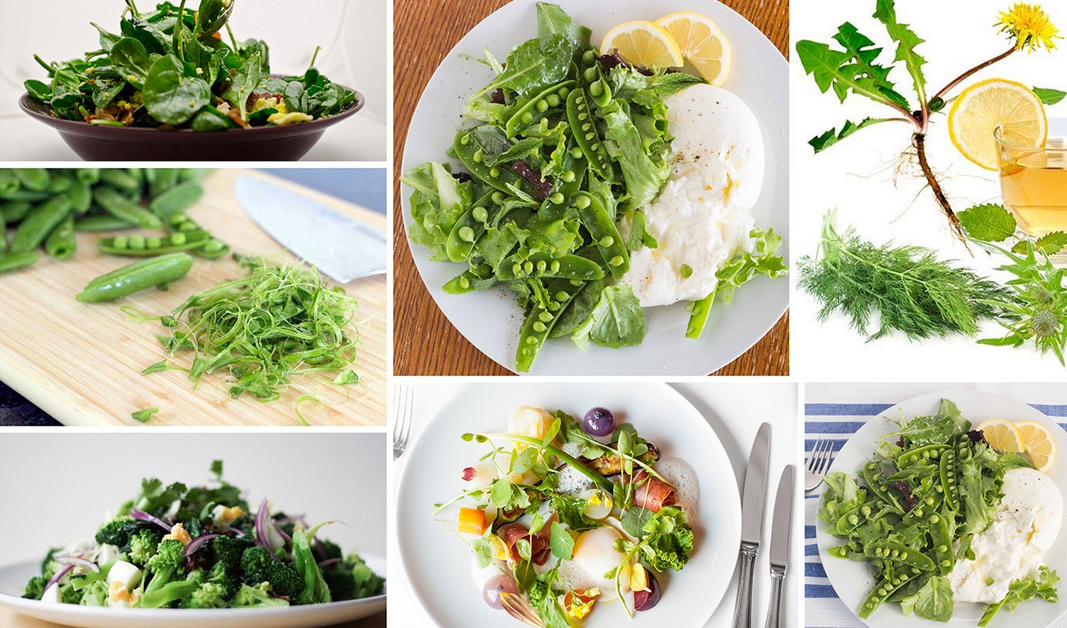 Зелень типы. Зелень для салатов. Зеленый салат. Зелень для салатов названия. Салат трава.