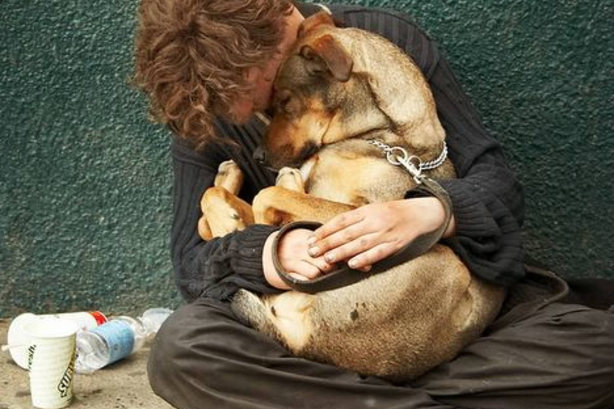 Сочувствие животным. Милосердие к животным. Сострадание к людям. Сочувствие и сопереживание. Сострадание человека к человеку.