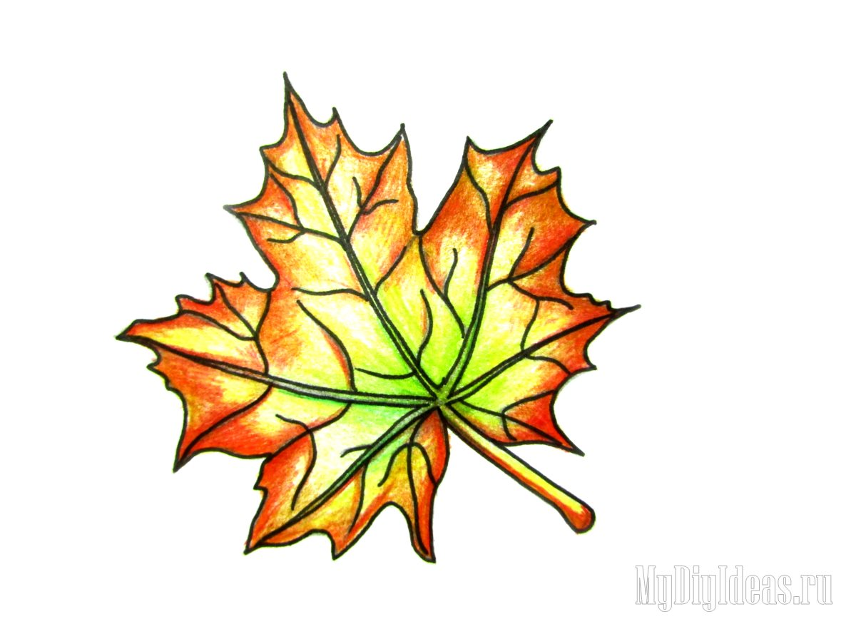 Осенний лист рисунок. Кленовый лист цветными карандашами. Кленовый лист рисунок. Кленовые листочки рисунок. Осенние листья цветными карандашами.