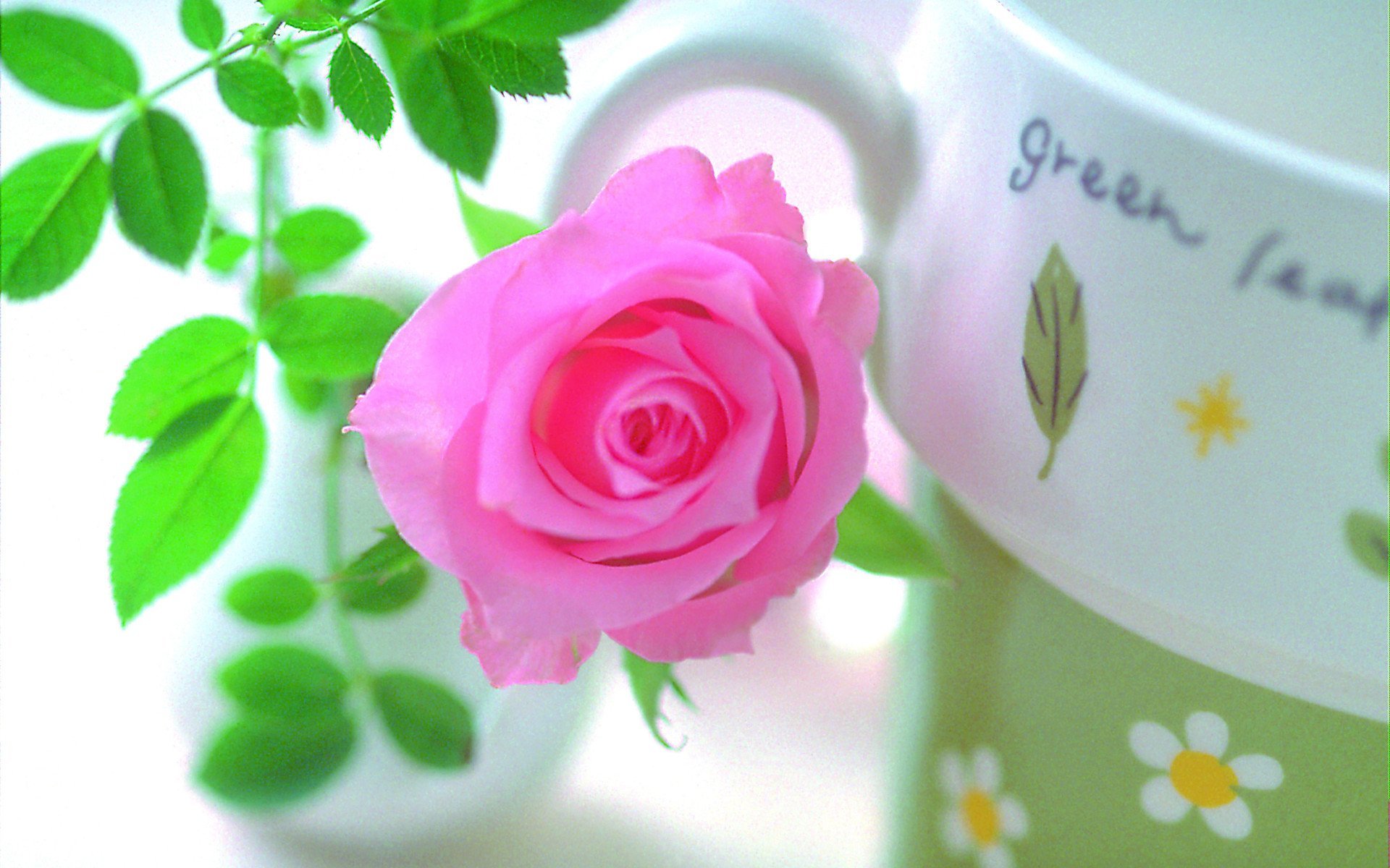 Фото роза доброе утро