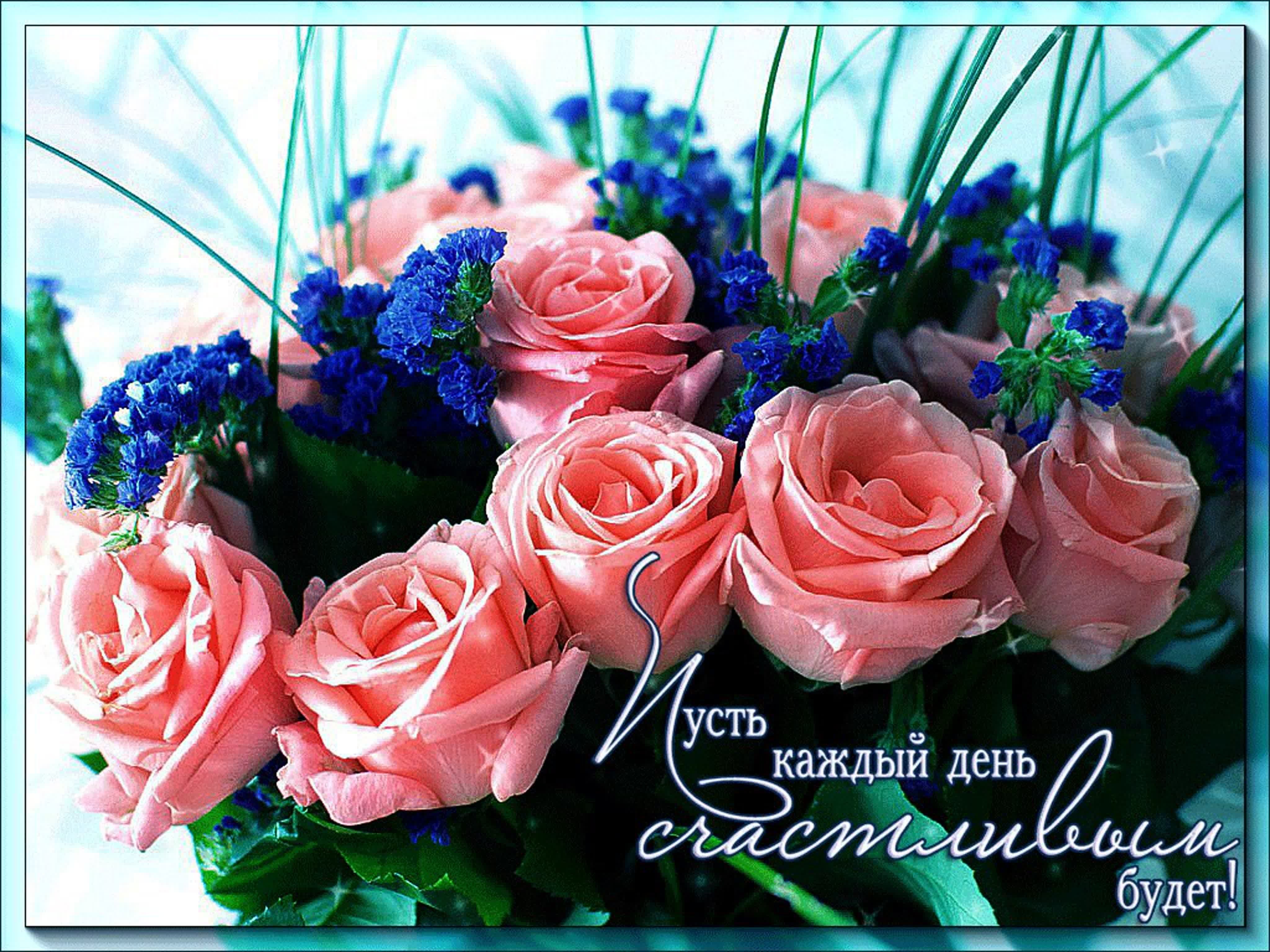 Поздравления добрый день видео. Красивый букет цветов. С днем рождения цветы. Букет "женщине". Поздравляю! (Цветок).