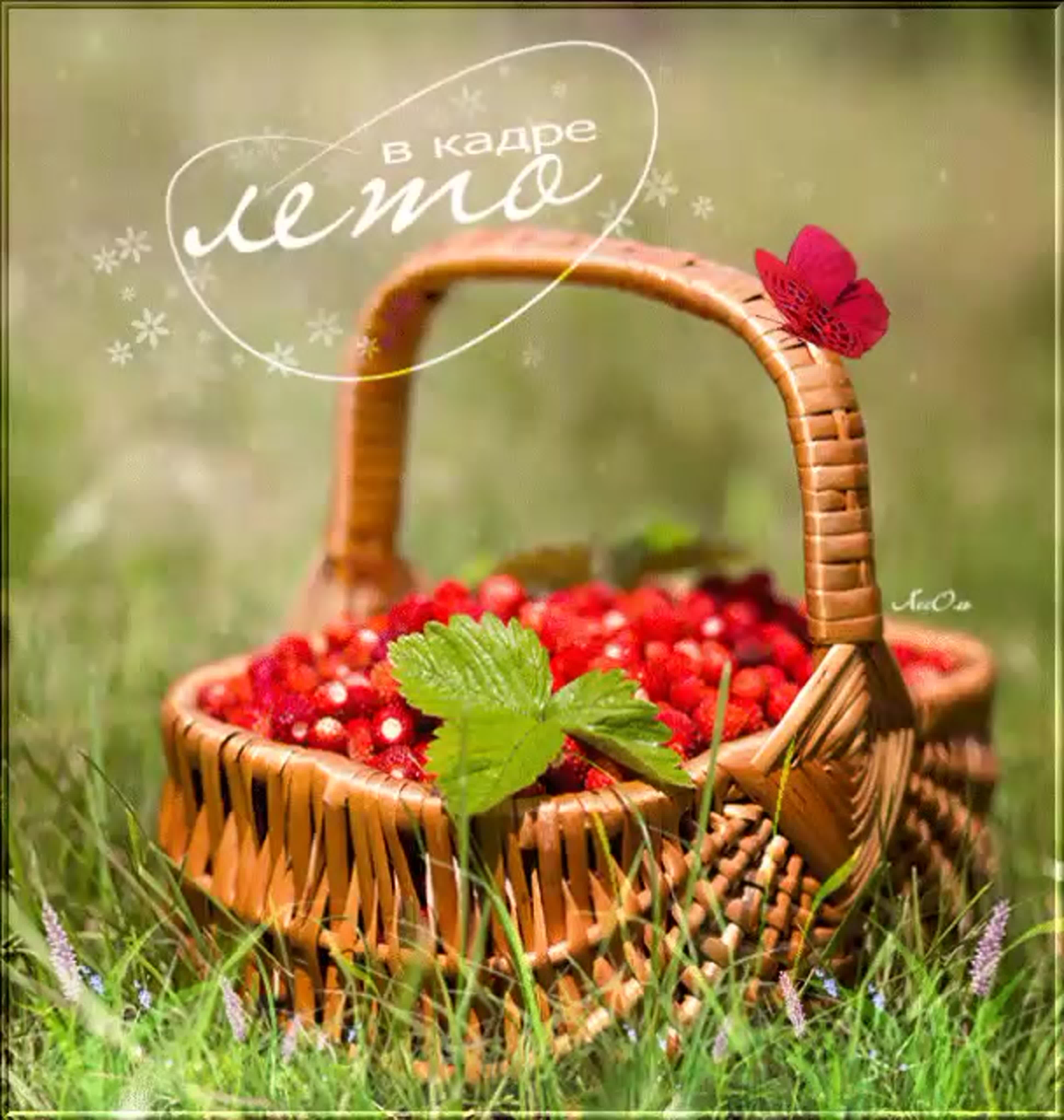 Запоминающийся день лета. Корзина с ягодами. Ягоды в лукошке. Корзинка с ягодами и цветами. Прекрасного летнего дня.