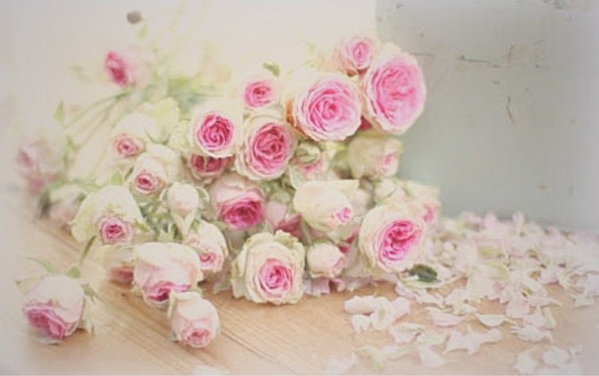 Поздравление с днем рождения нежные открытки. Красивые нежные цветы. Нежный букет на день рождения. Нежный цветок. Букет нежных роз.
