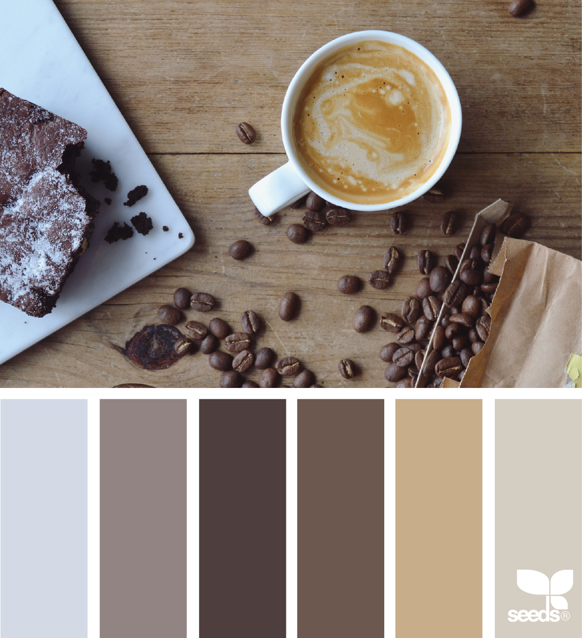 Какой цвет сочетается с цветом кофе с молоком в интерьере фото