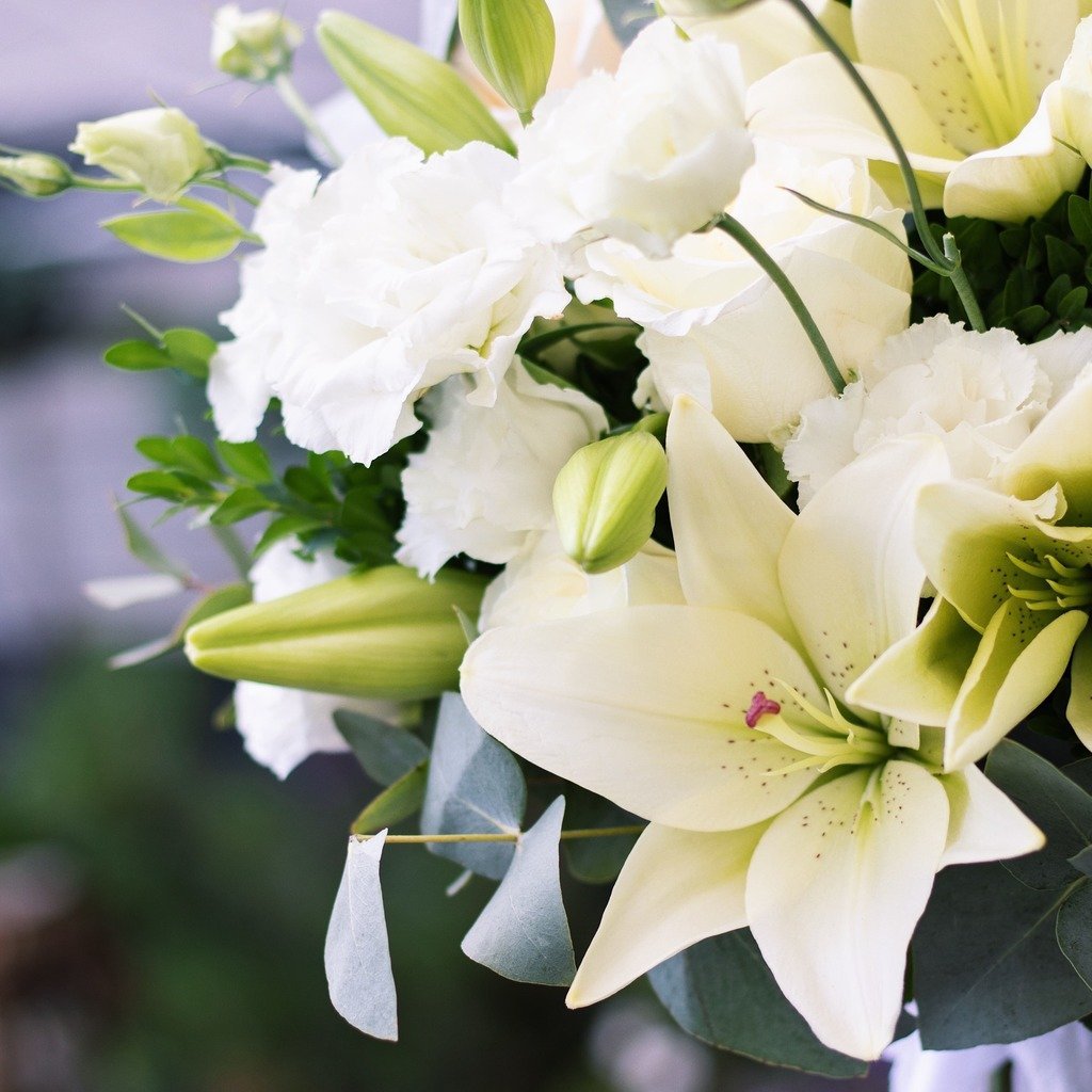Букет лилий фото красивые. Лилия Венделла. Пионовидные лилии. Лилия пионовидная белая. Пионовидные лилии букет.