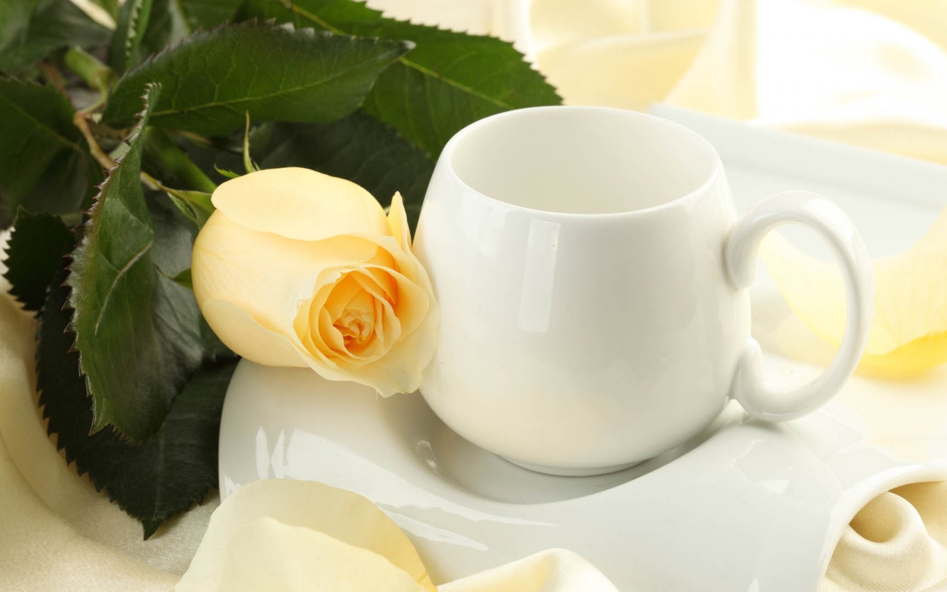 Красивые картинки с добрым. Открытки с добрым утром. Утро цветы. Доброе утро розы. Кофе и белые цветы.