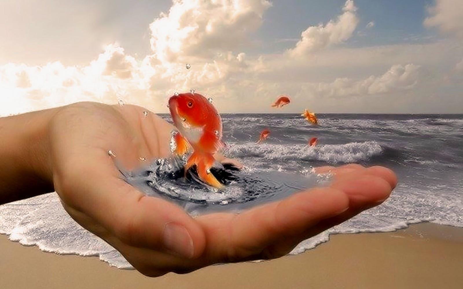 Счастье пришло как заслуга. Золотая рыбка в руках. Золотая рыбка исполнение желаний. Добро у моря. Золотая рыбка исполняет желания.