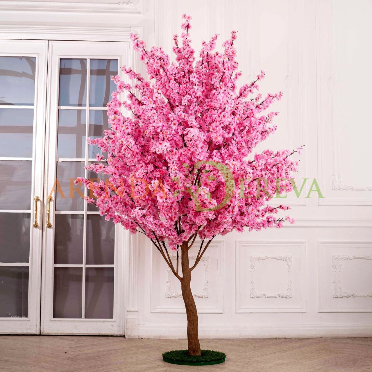 Розовое цветущее дерево название. Дерево декоративное. Красивые декоративные деревья. Декоративное цветущее дерево.