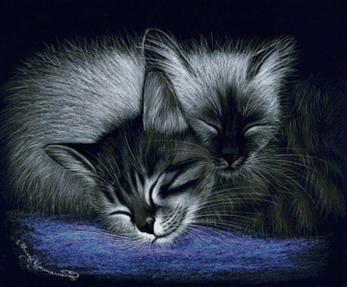 Картины Ирины Гармашовой коты