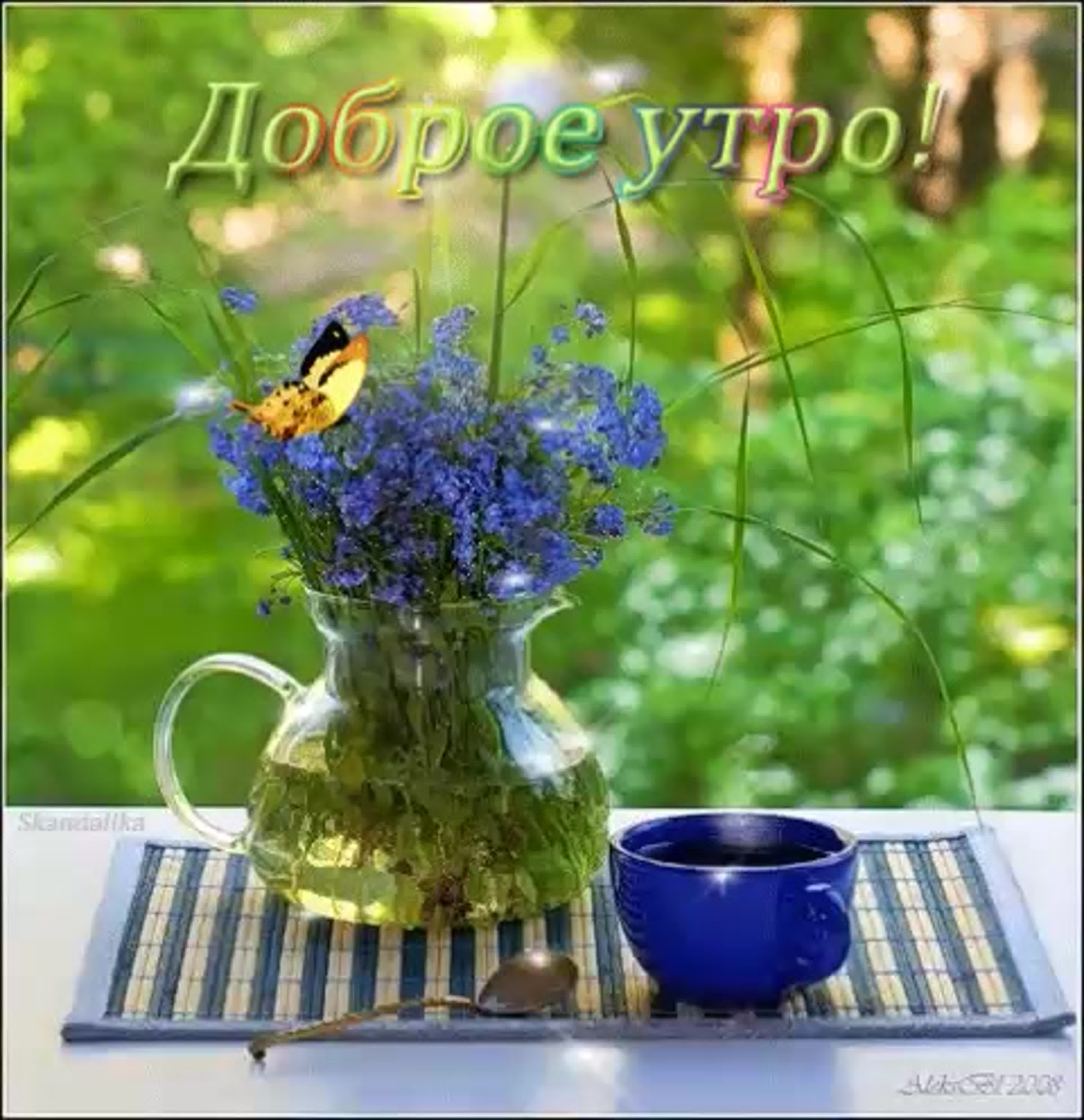 Прекрасного дня с природой. Утро лето. Доброго летнего утра и хорошего дня. Прекрасного летнего утра и хорошего дня. Доброе утро летние цветы.