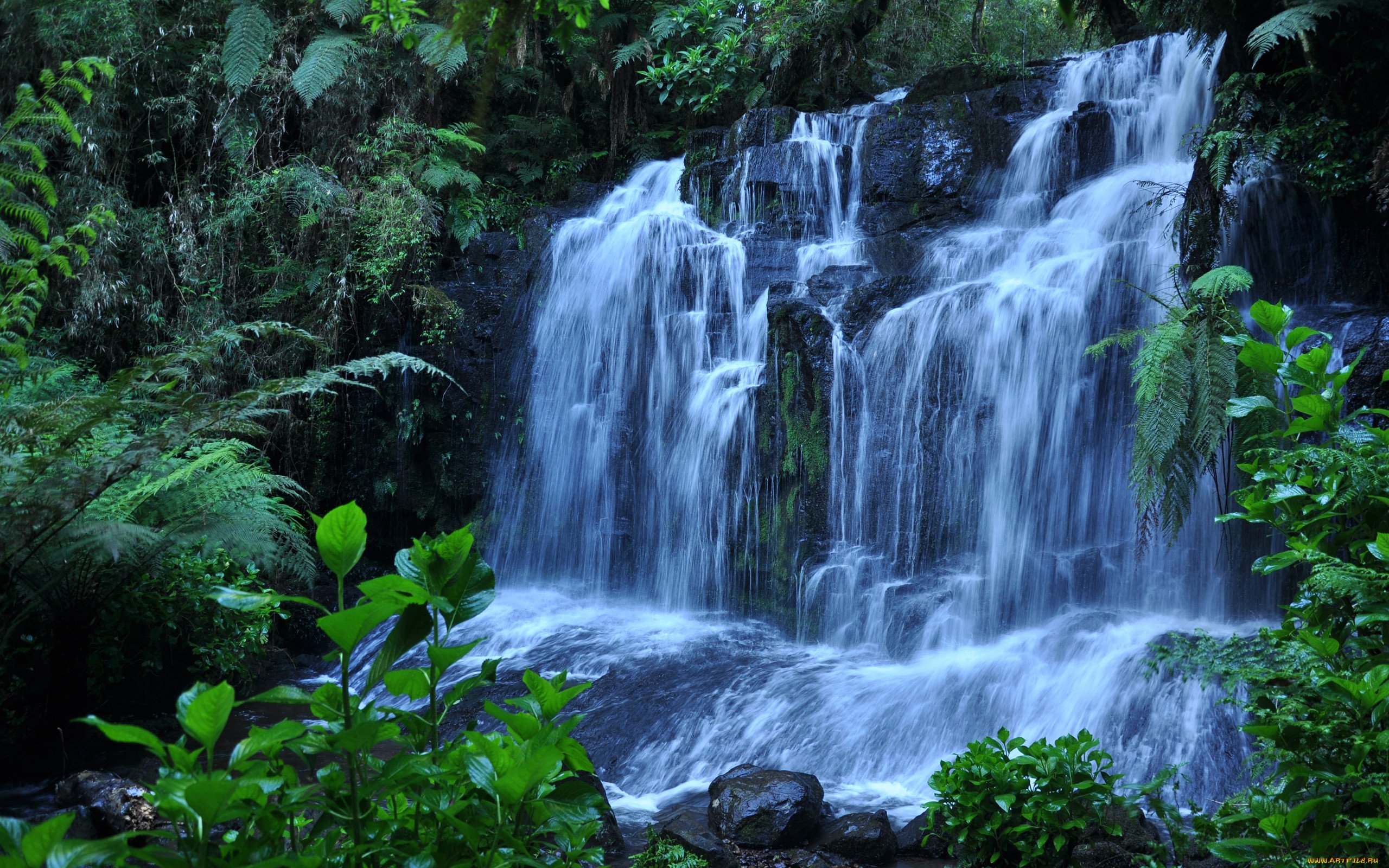 Картинки. Водопад Хидзи. Природа водопад. Красивые водопады. Красота воды.