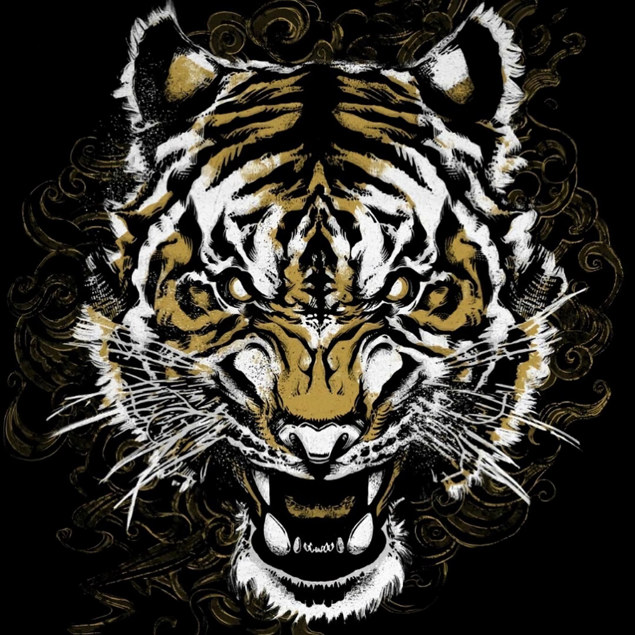 Заставка на телефон оскал. Тигр оскал анфас. Оскал тигра оскал. Тигр на черном фоне рисунок. Тигр на черном фоне обои.