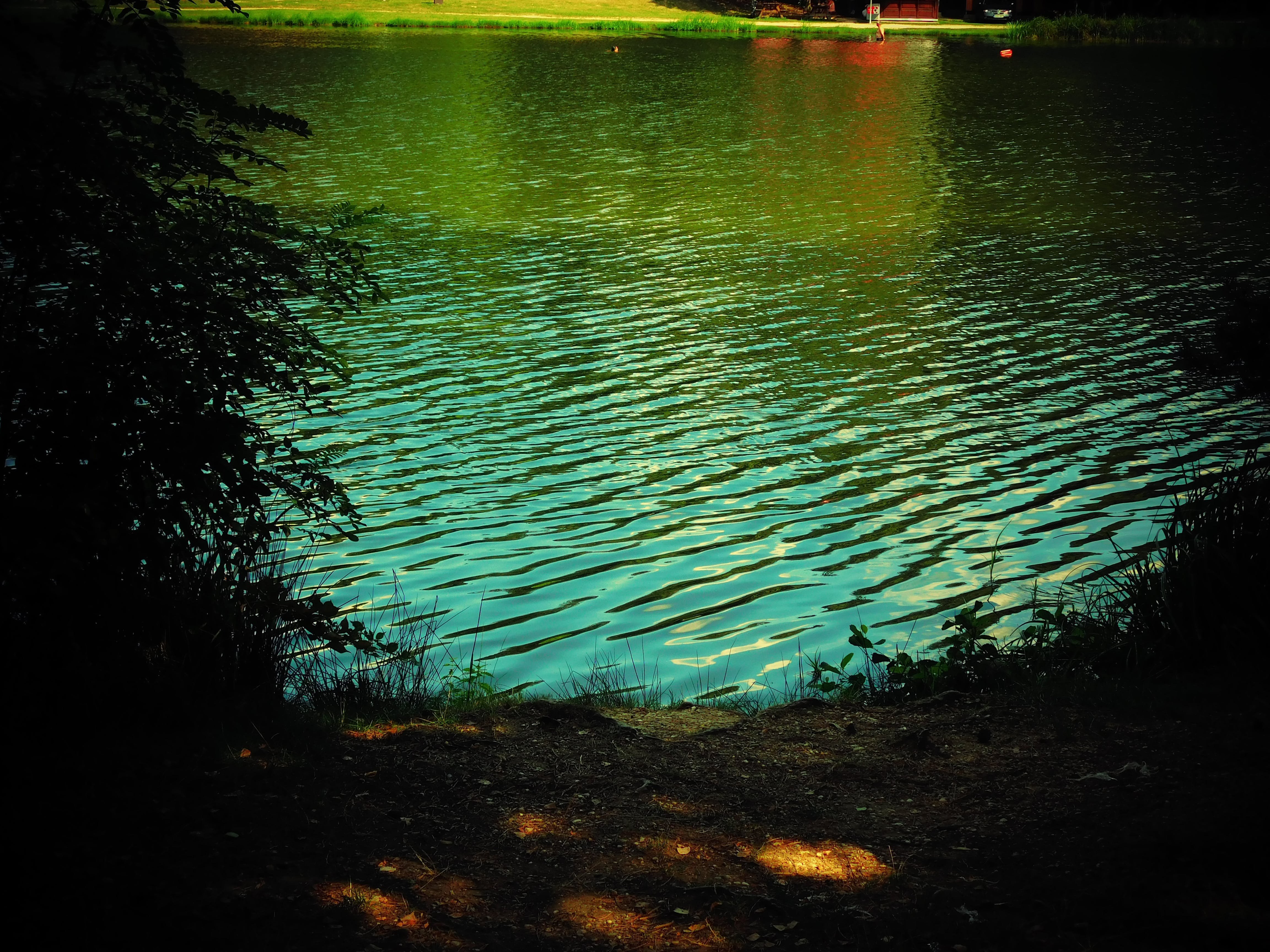 Вода озеро свет. Зеленое озеро Дмитров. Зеленые озера Вильнюс. Зеленое озеро Судогда. Озеро зелёное щелкого.