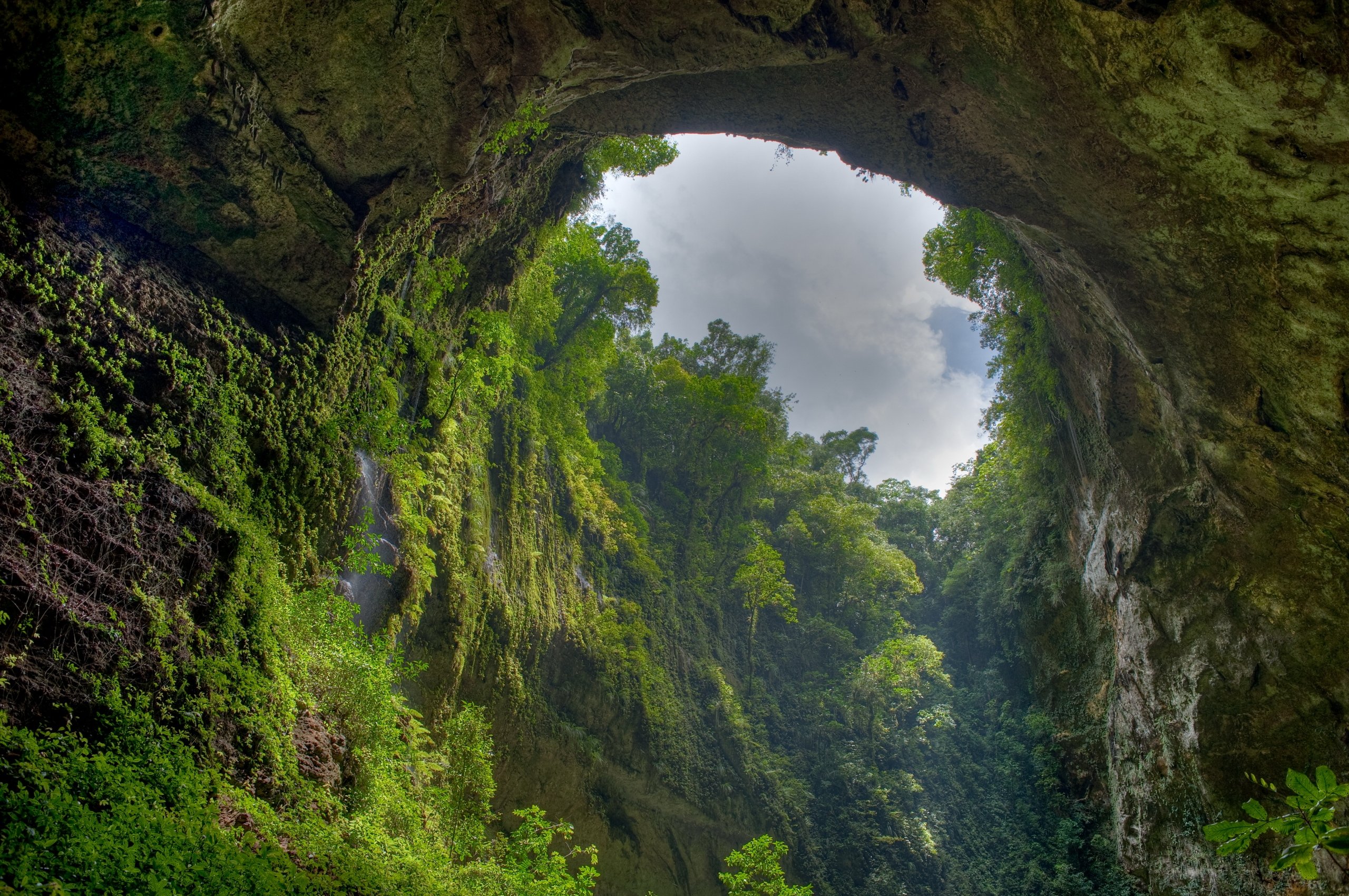 Big mother nature cave. Пещера Шондонг. Лес Эль Юнке, Пуэрто-Рико. Пещера Шондонг Вьетнам. Ущелье Борго Трансильвания.