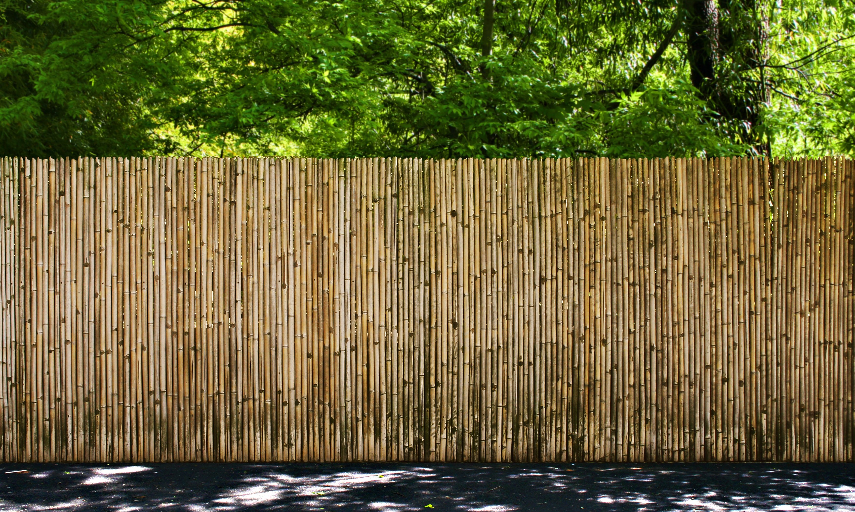 высокий деревянный забор раст фото 98