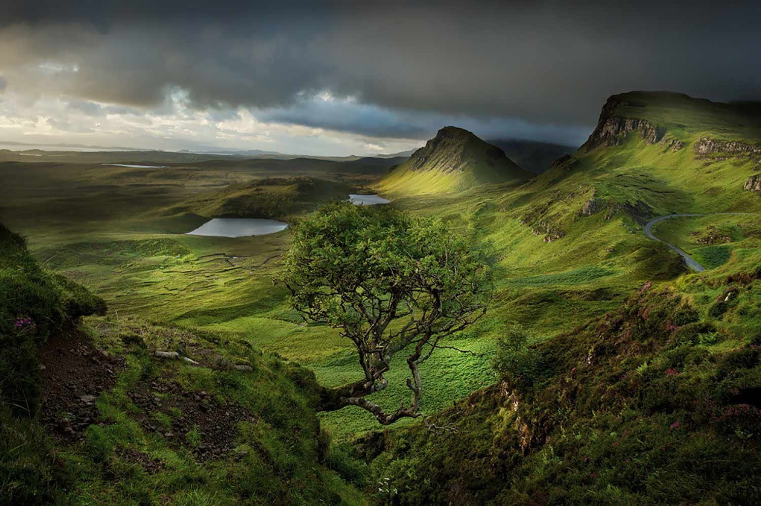 Шотландия. Шотландия ландшафт. Хребет Троттерниш, Шотландия. Холмы Шотландии. Природа Ирландии Шотландии.