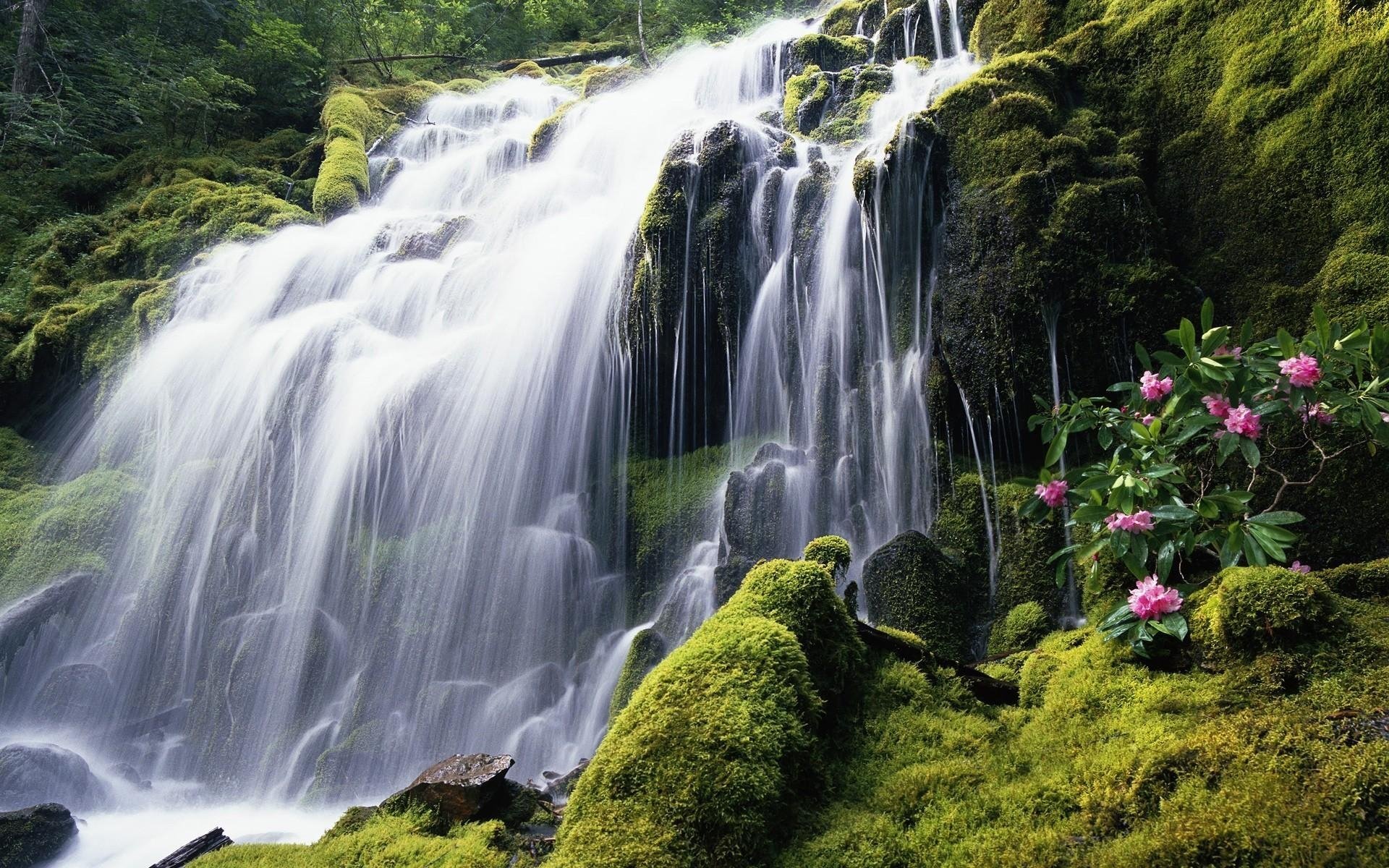 Установить на рабочем столе обои красивая. Водопад Мосбрей, США. Водопад Сороа. Водопад прокси, Орегон. Красивая природа водопад.