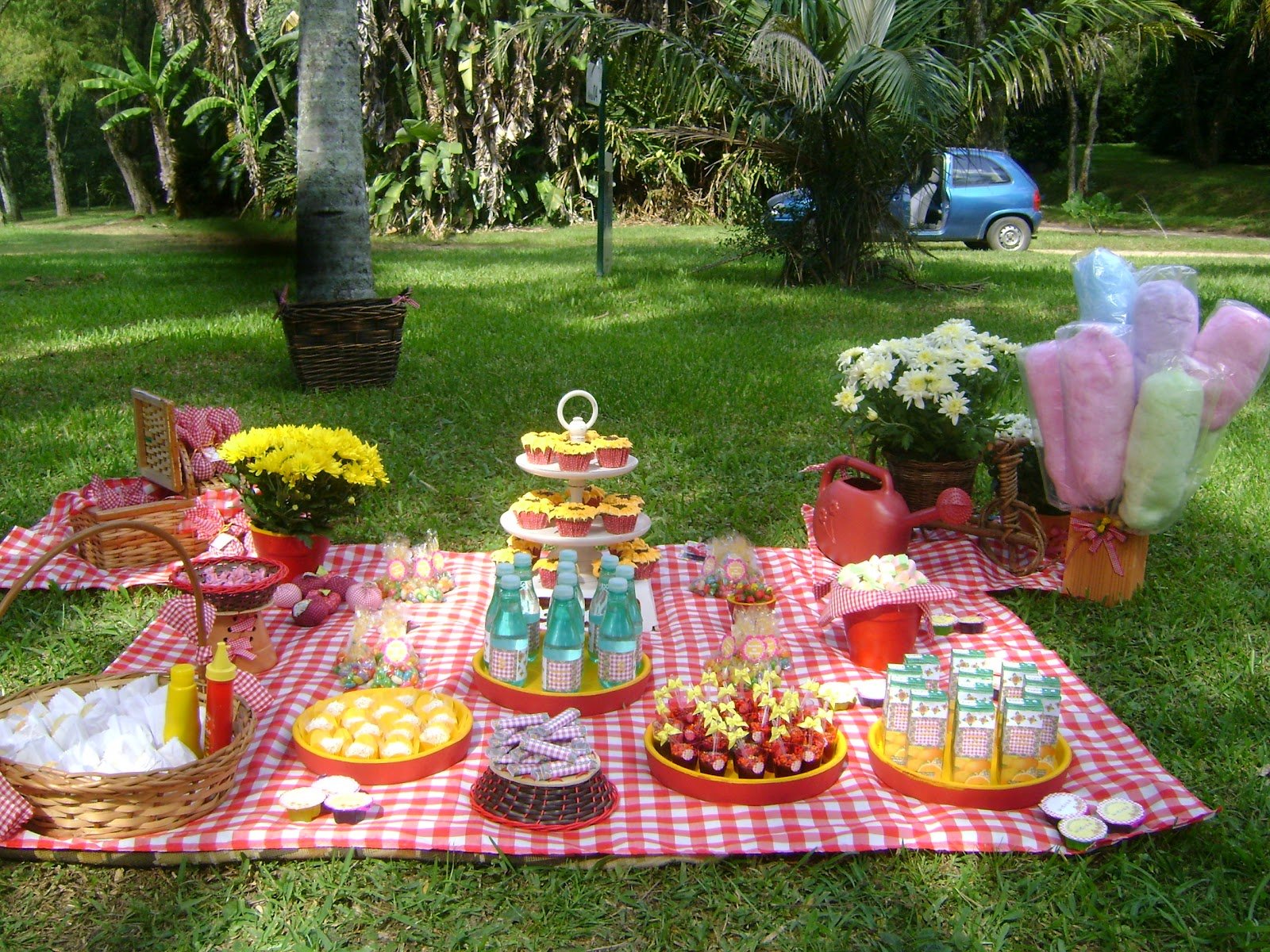 Пикник на день рождения