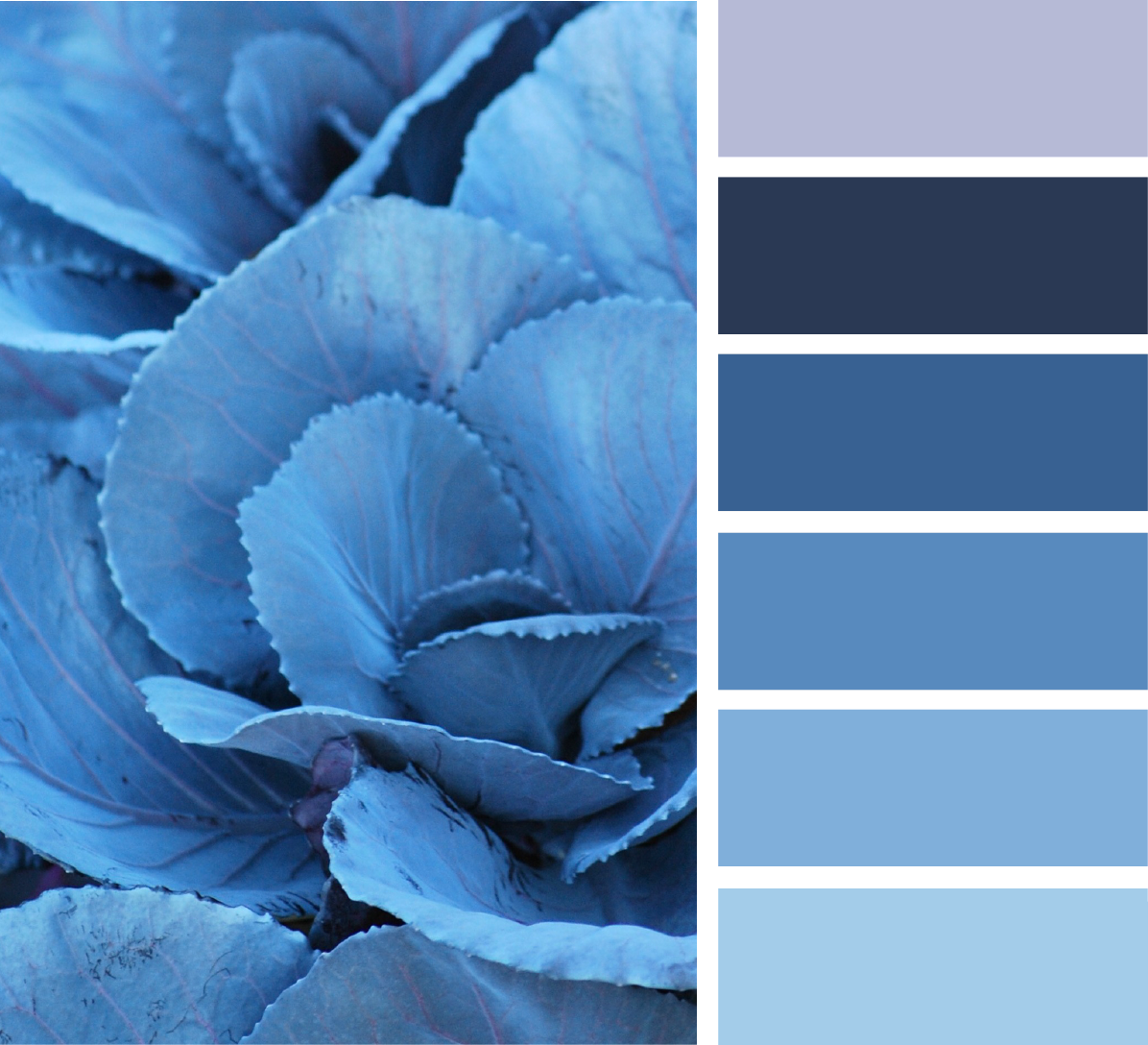 Цвет синий и голубой фото сравнение