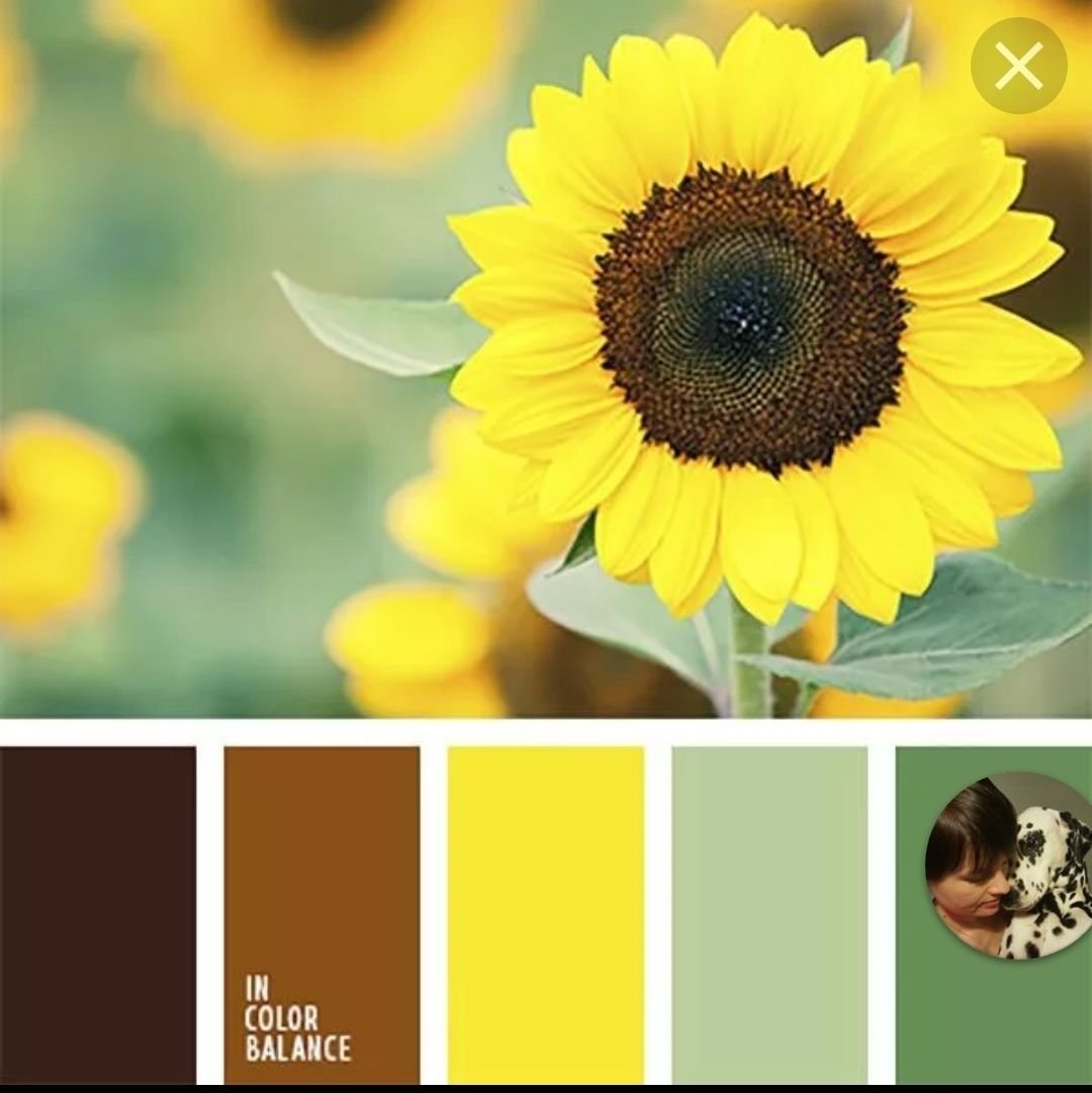 Цветовая палитра желтые серый коричневый