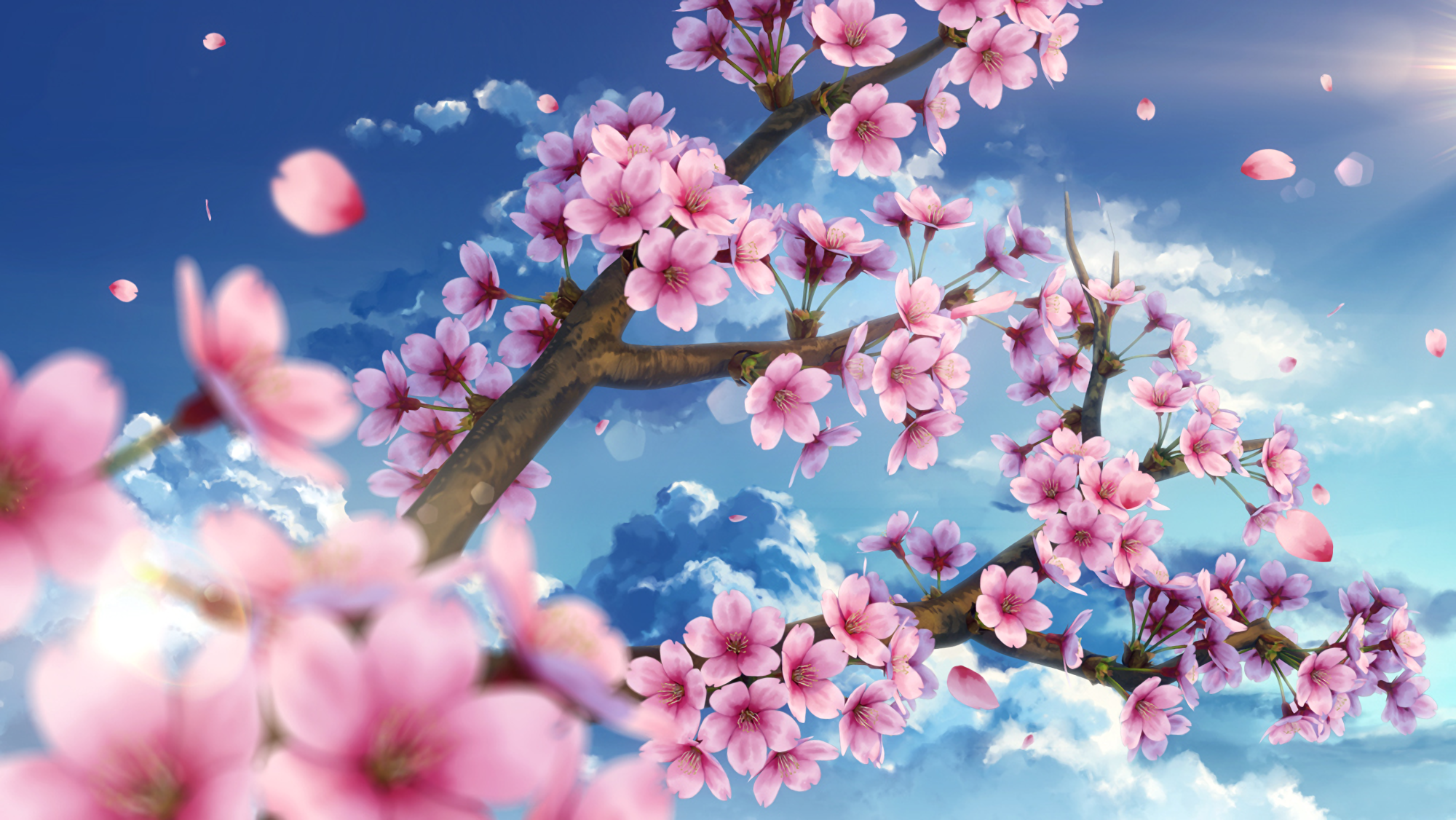 Sakura blossom. Черри блоссом дерево. Черри блоссом арт. Сакура черри блоссом. Сакура черри блоссом дерево.