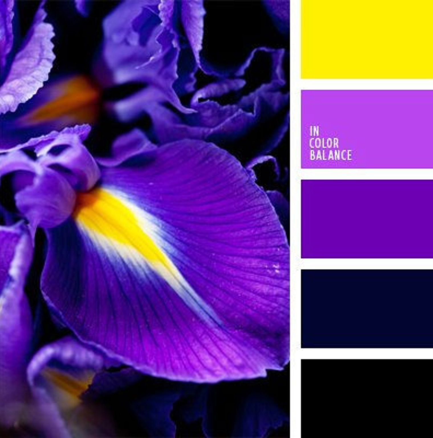 сочетание цветов фиолетовый и желтый в интерьере