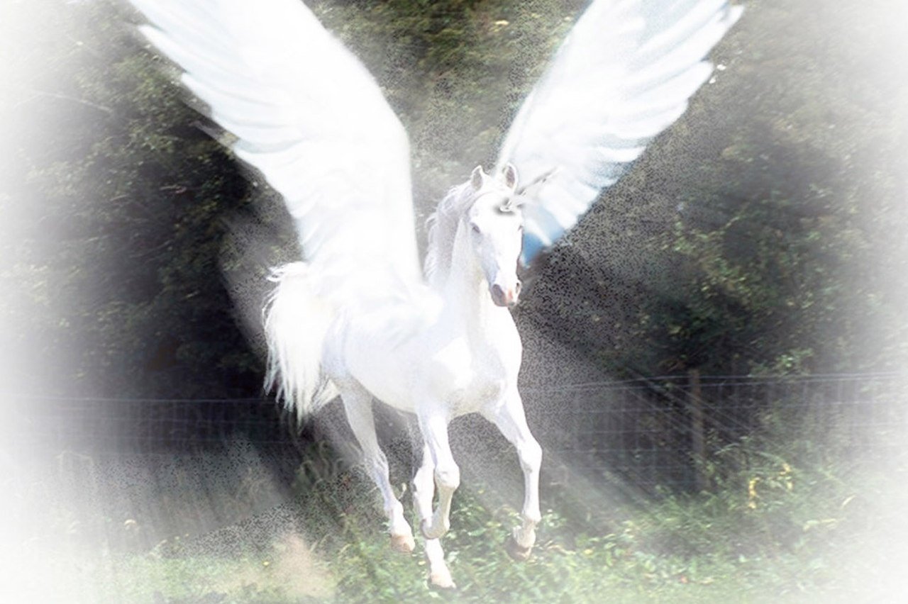 Horse life пегасы. Аликорн крылатый Единорог. Единорог с крыльями. Лошадь с крыльями. Лошадь с крыльями и рогом.