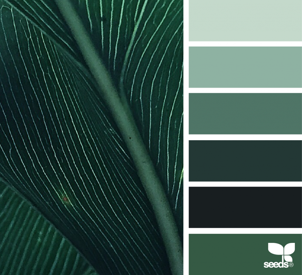 Seeds Color Palette изумрудный. Цветовая палитра темно зеленый. Изумрудный цвет палитра. Глубокий зеленый цвет. Изумрудно серый цвет