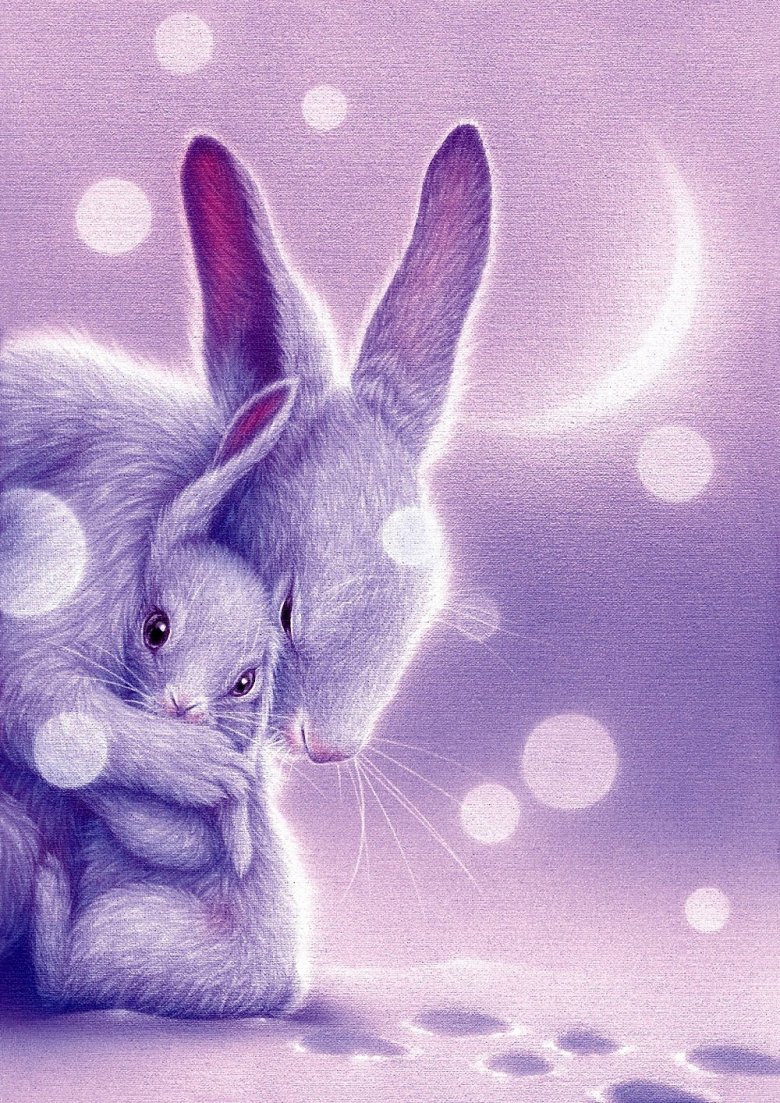 К чему снится кролик живой. Кентаро Нишино художник. Кентаро Нишино картины кролик. Милые зайчики. Красивая Зайка.