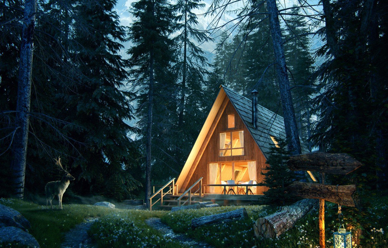 Forest home. Хижина гномов, Британская Колумбия. Домик в лесу. Лето дом в Сумерки. Уютный дом в лесу.
