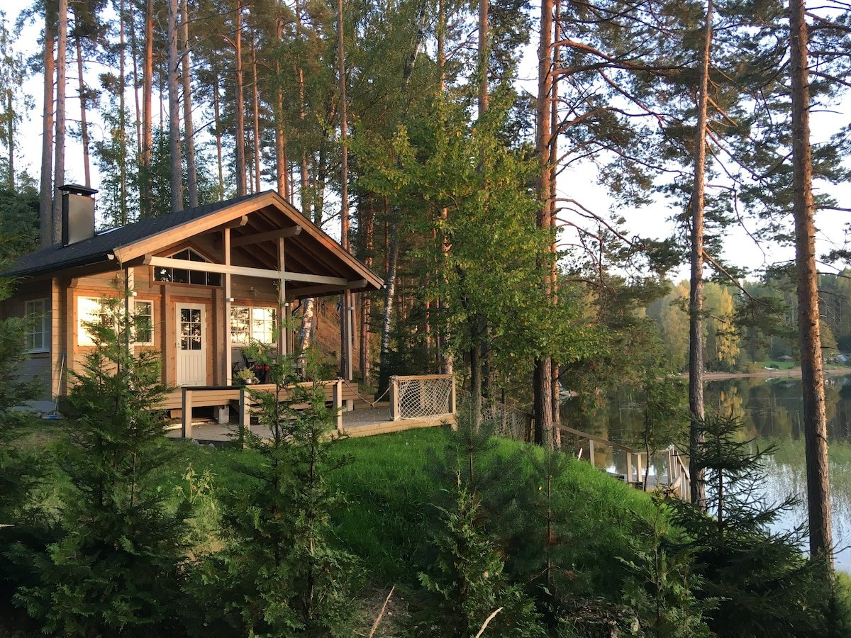 Купить дом лесные озера. Миккели Финляндия дом у озера. Отель хвойный парк Лахденпохья. Финский залив Сосновый Бор коттедж. Финляндия коттеджи у озера.