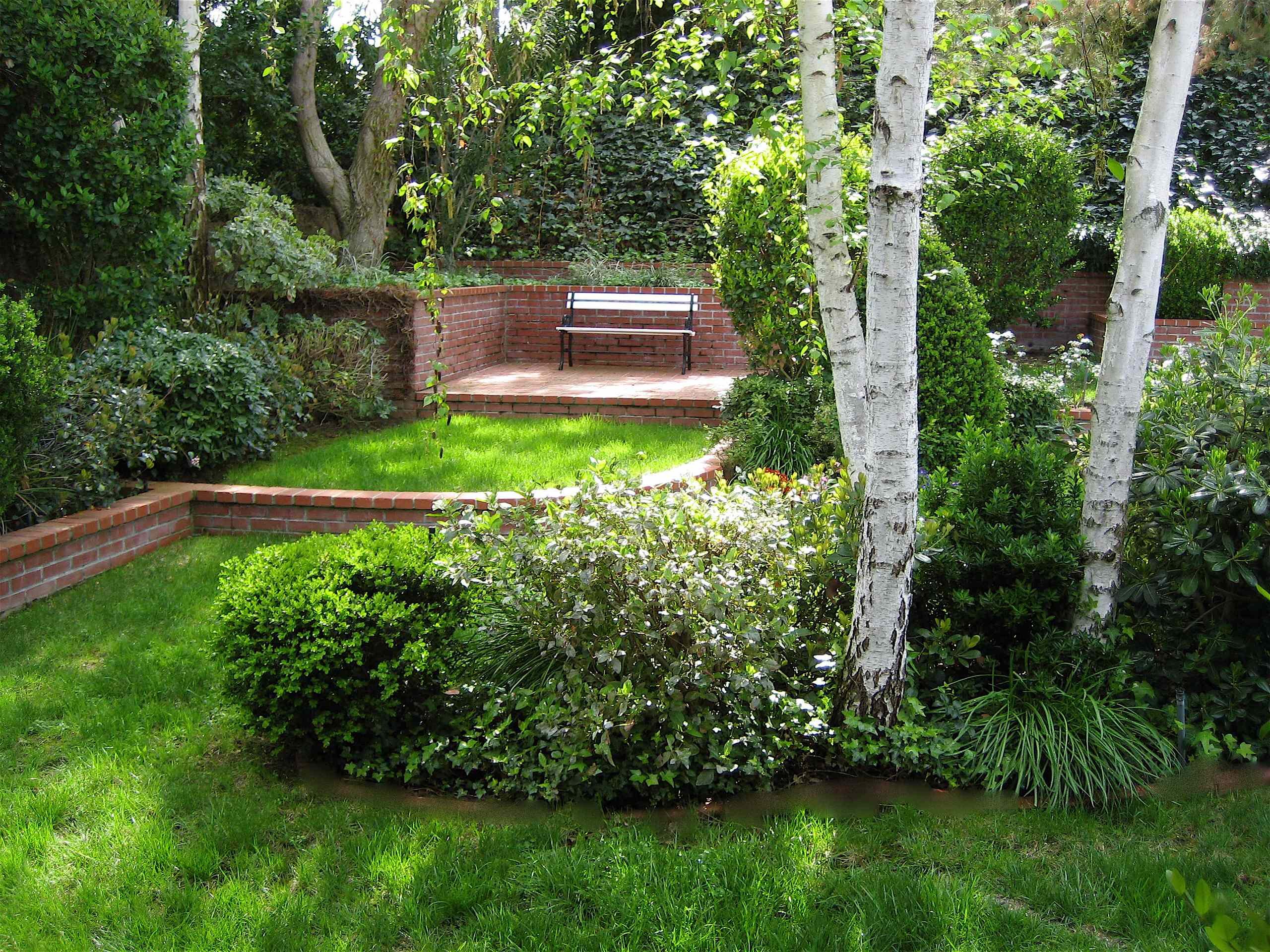 Плодовый сад дома. Ландшафтный дизайнер Хью Гарден. Береза «gracilis» в ландшафте.