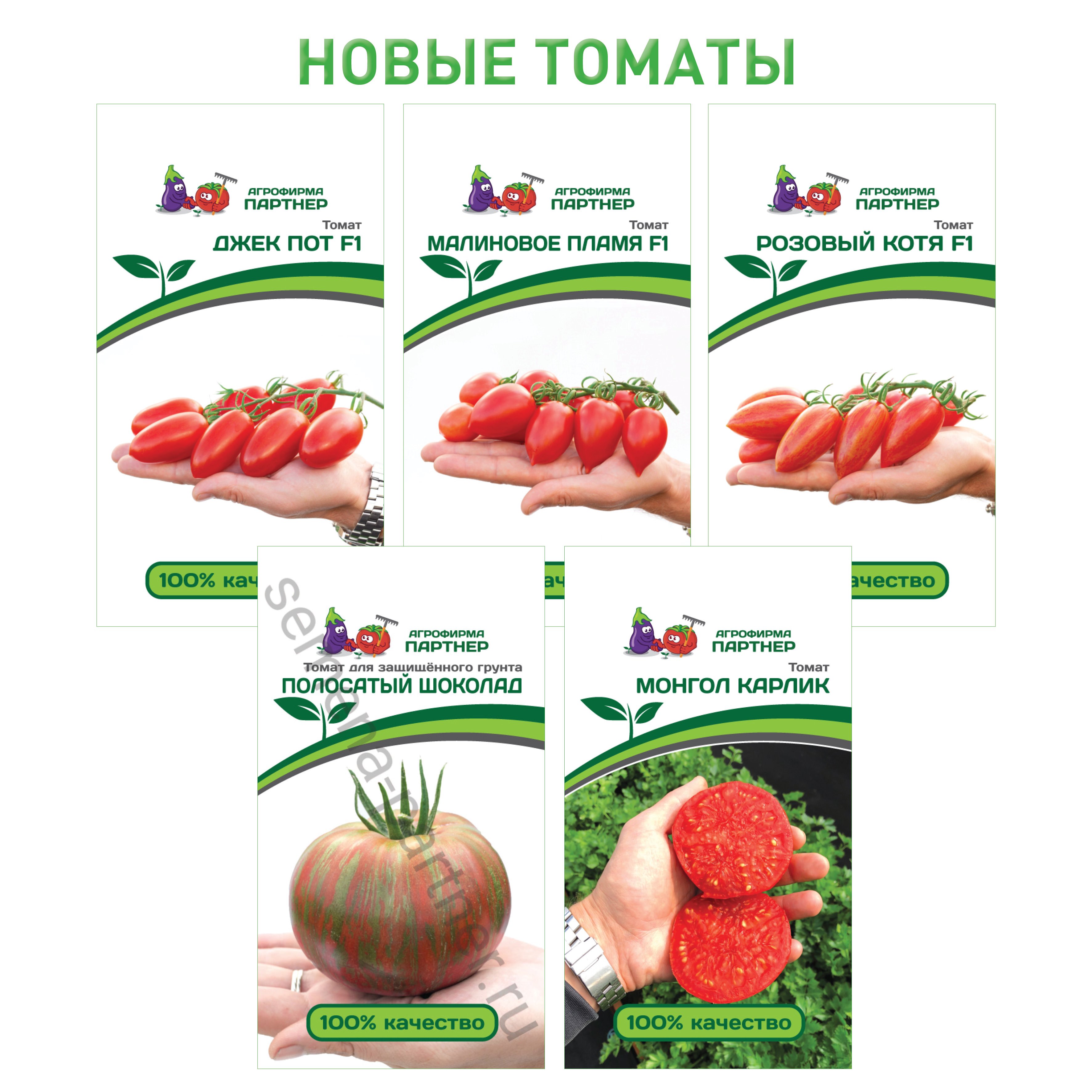 Купить томаты от производителя. Семена томатов Агрофирмы партнер. Агрофирма партнер Агрофирма партнер помидоры. Семена томатов от фирмы партнер 2023. Семена партнёр интернет магазин каталог на 2022.