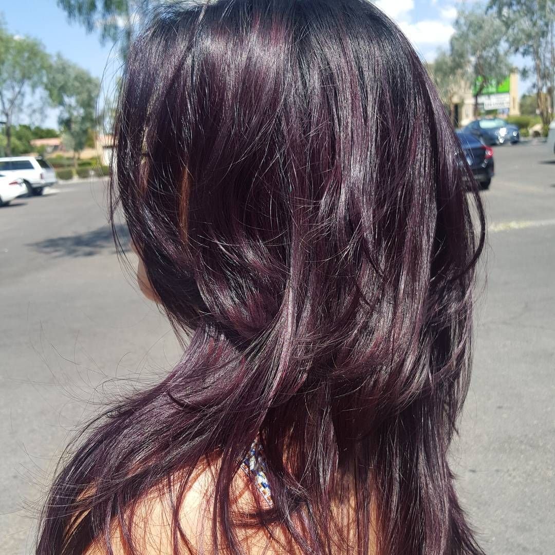 Черные волосы с отливом. Черные волосы с фиолетовым отливом. Коричневый с фиолетовым отливом цвет волос. Коричневый цвет волос с фиолетовым оттенком. Темные волосы с фиолетовым отливом.